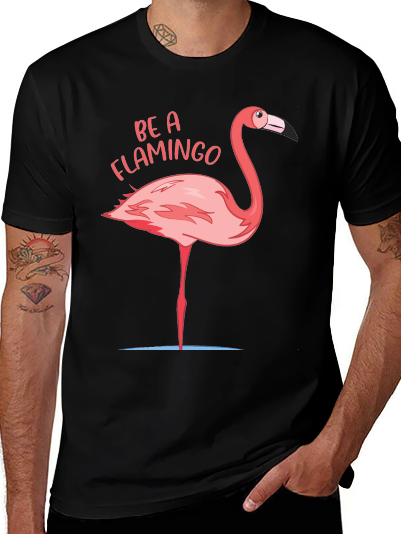 Variant 20 of Be A Flamingo Graphic T-Shirt