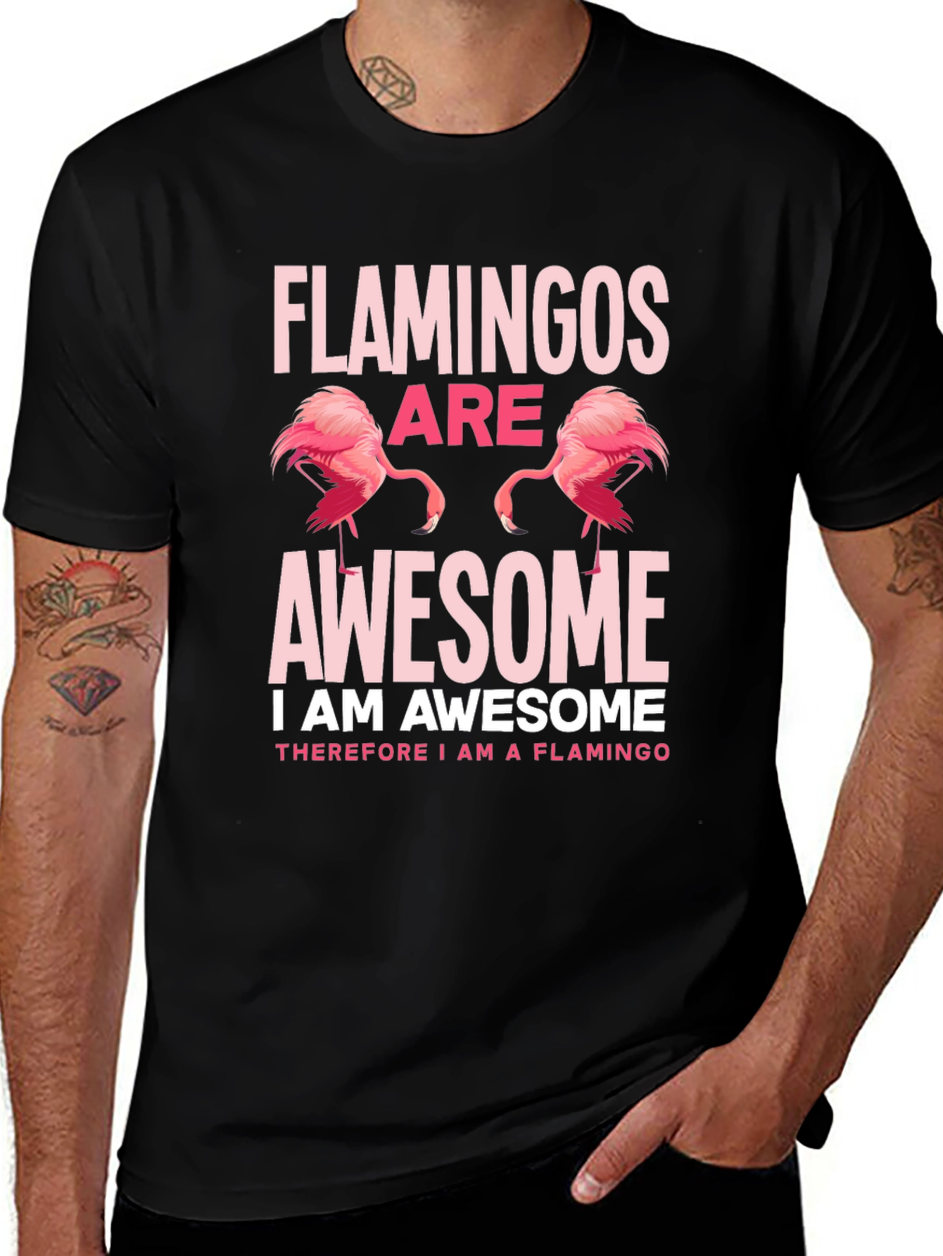 Variant 10 of Flamingos Are Awesome Graphic Tee Shirt