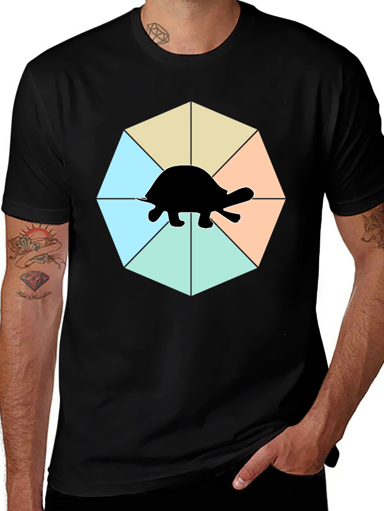 Variant 20 of Turtle Graphic T-Shirt - Modern Art
