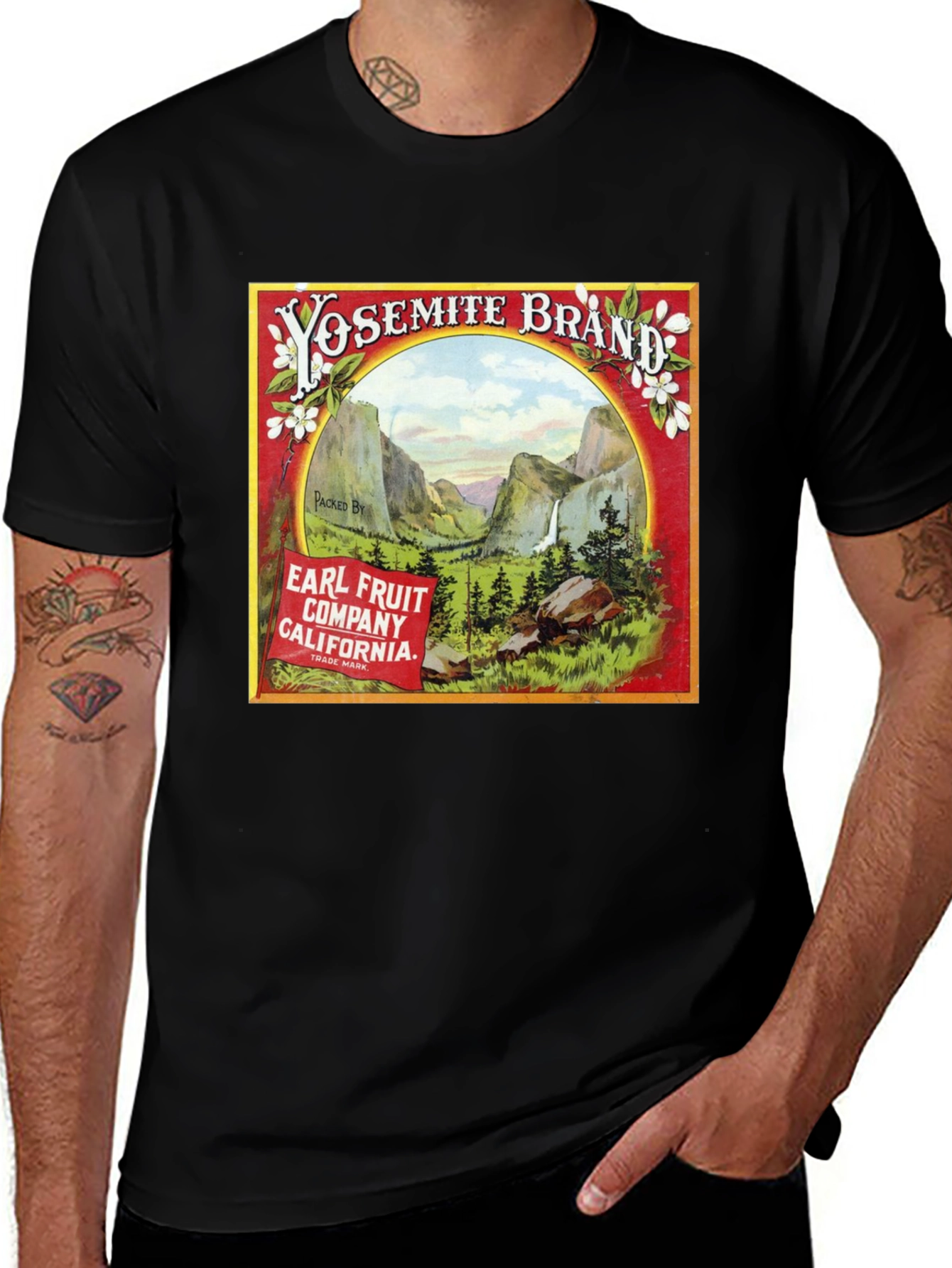 Yosemite Brand T-Shirt: Vintage California Tee