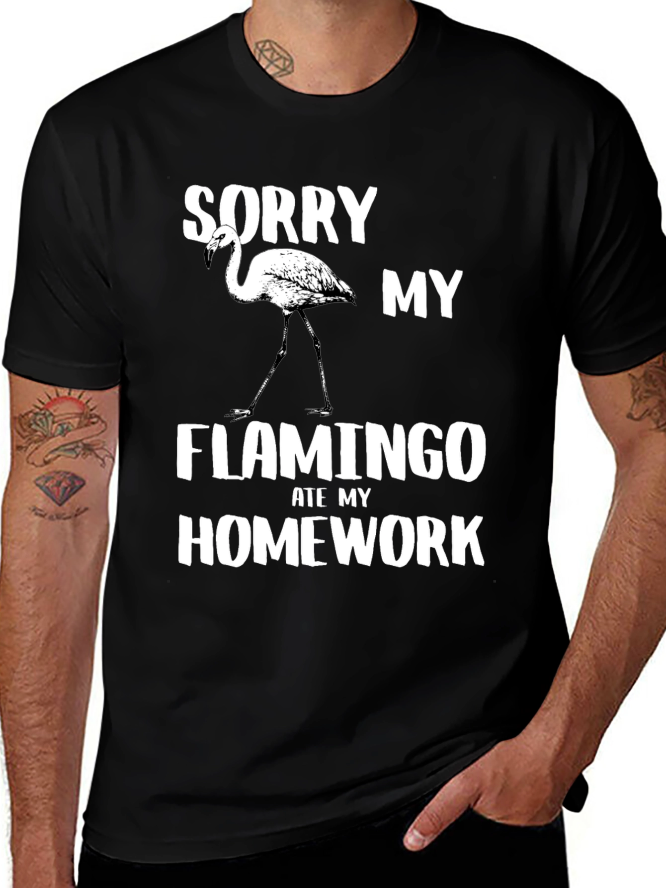 Variant 28 of Funny Flamingo Homework T-Shirt