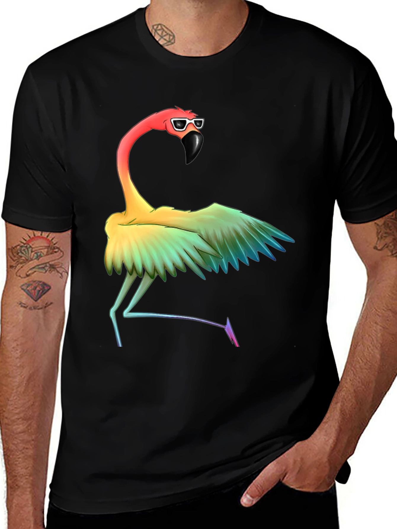 Variant 21 of Rainbow Flamingo Graphic T-Shirt
