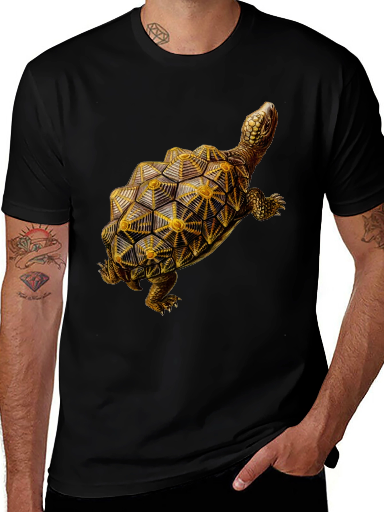 Variant 14 of Turtle Graphic Tee - Unique Reptile Print