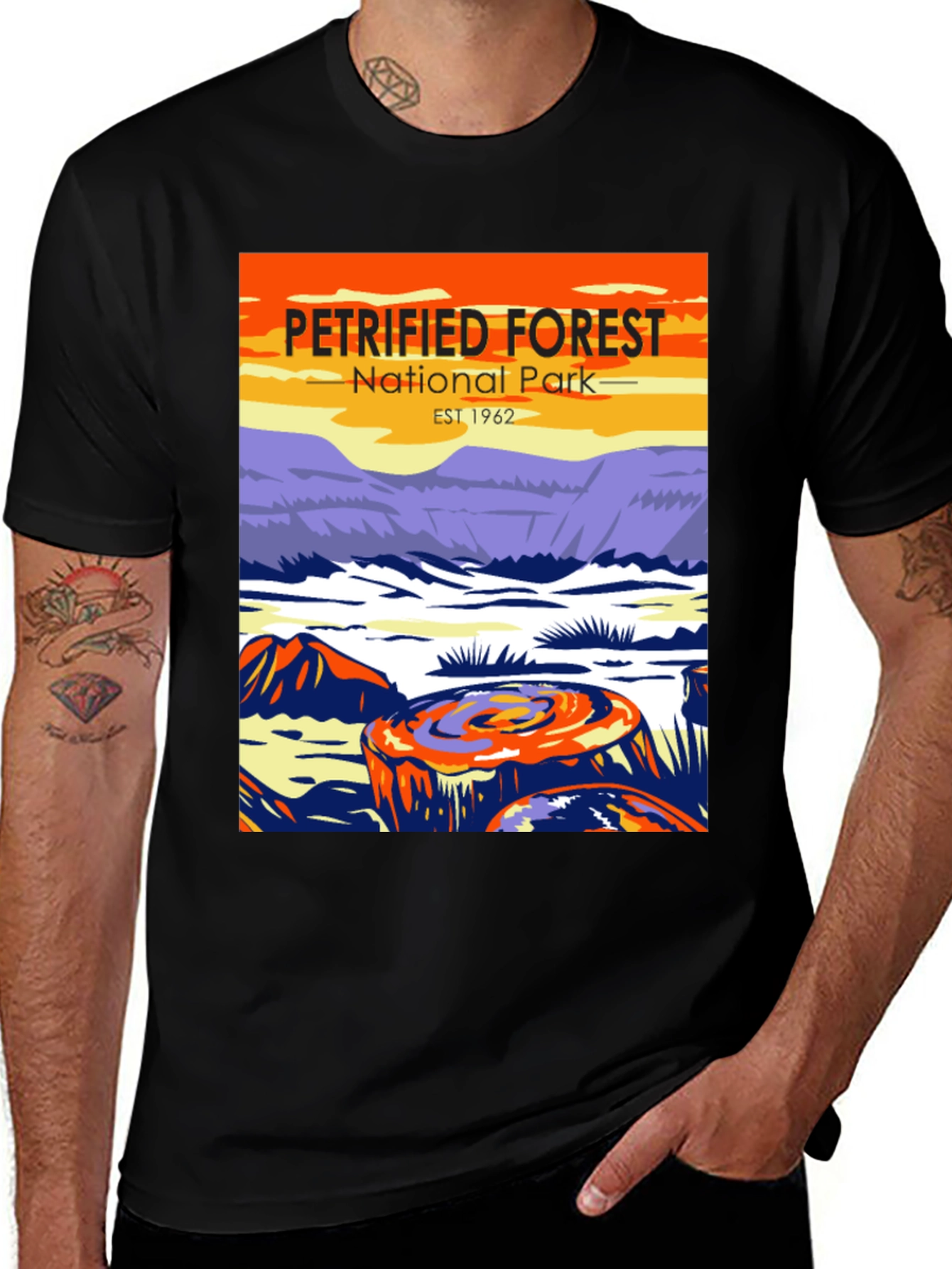 Variant 12 of Petrified Forest National Park T-Shirt