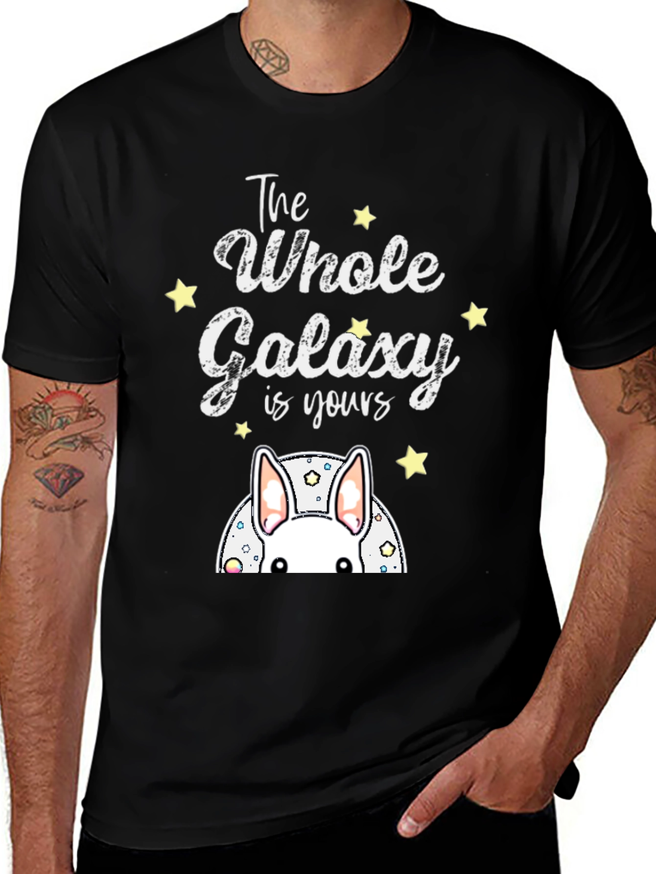 Variant 26 of The Whole Galaxy is Yours Bunny T-Shirt