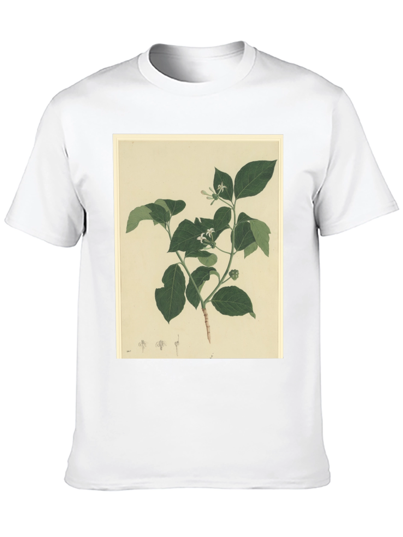 Black Botanical Print Black T-Shirt view 10