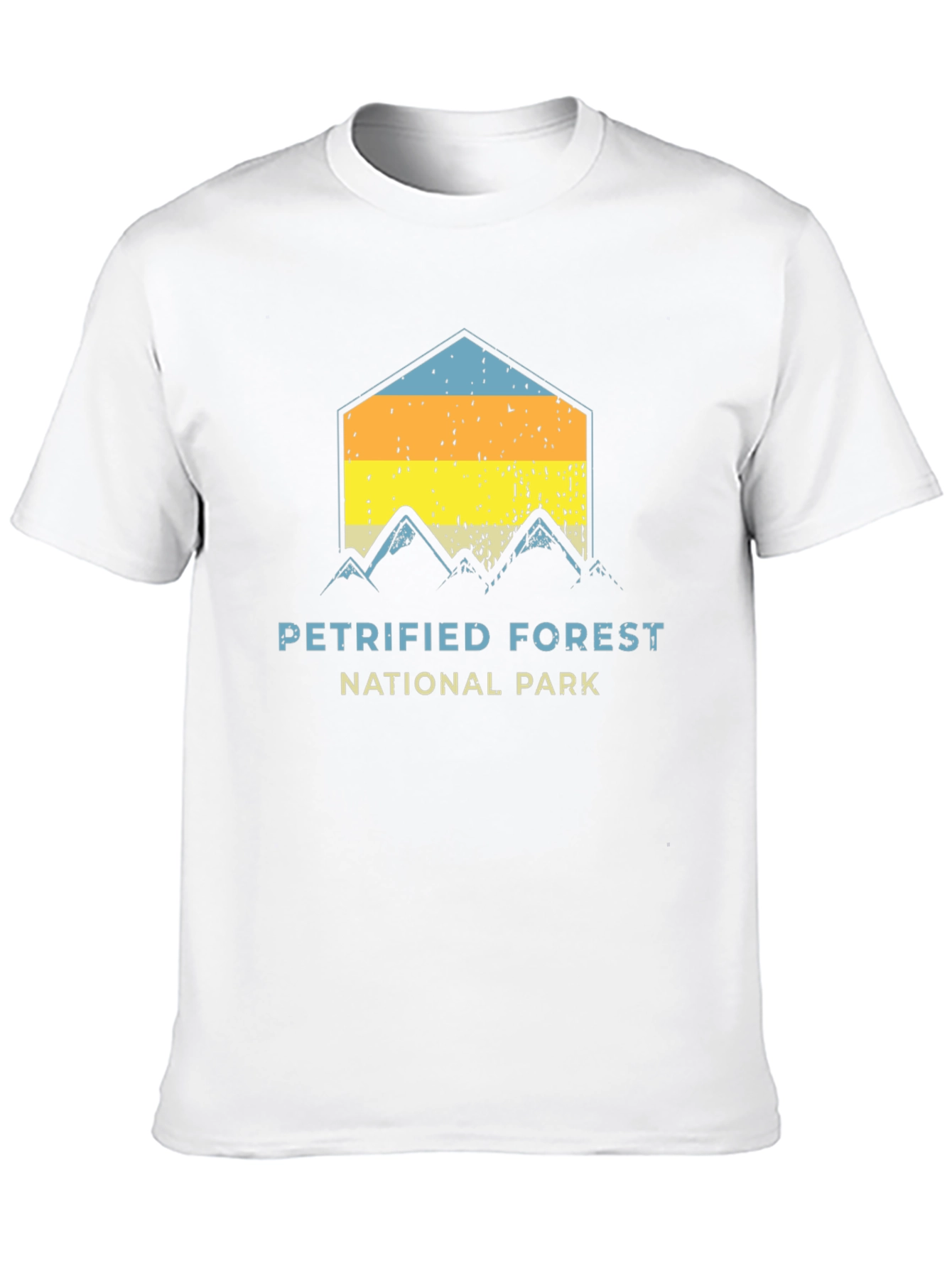 Black Petrified Forest National Park Graphic Tee view 10
