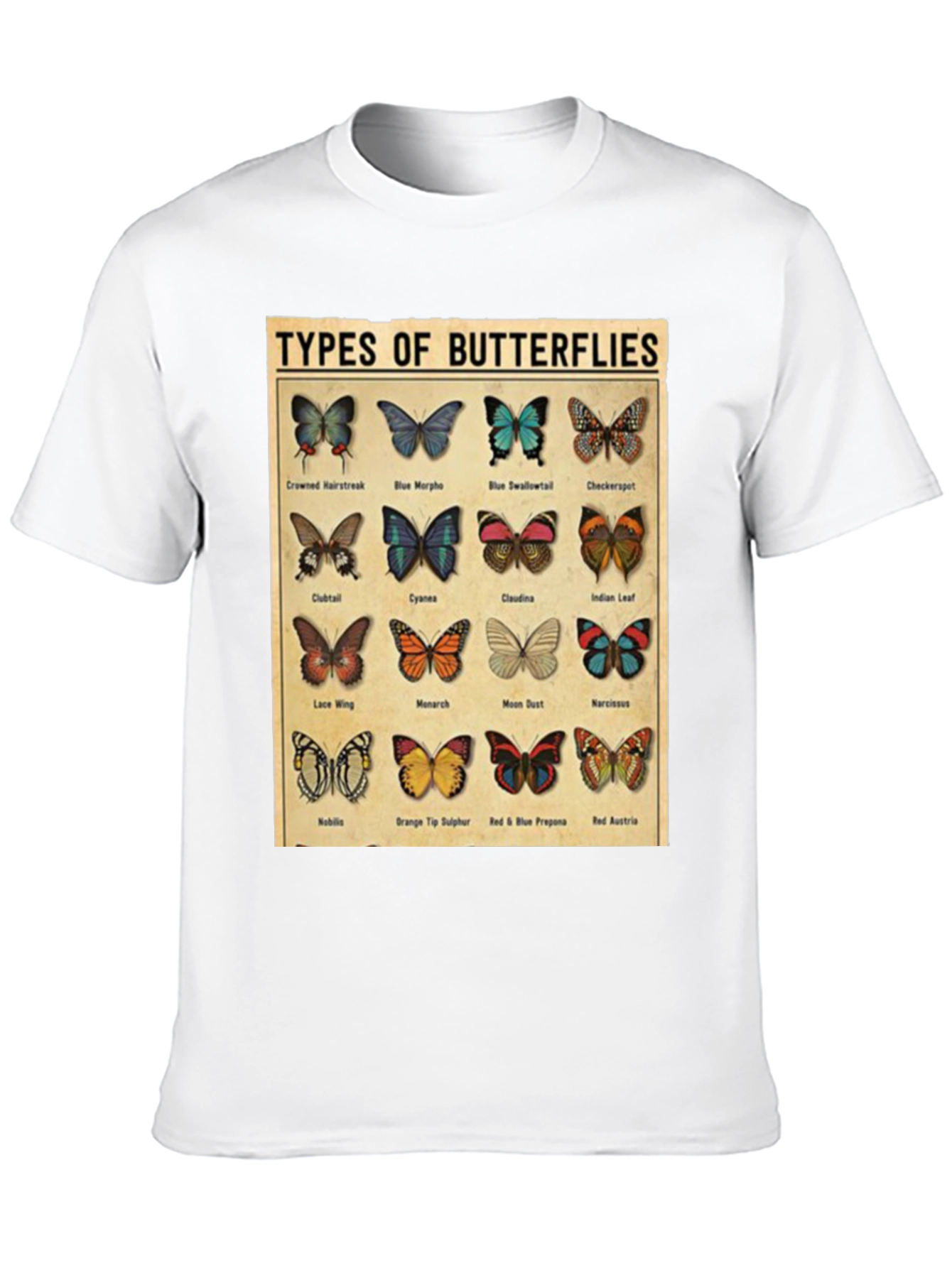 Black Butterfly Types Graphic T-Shirt view 10