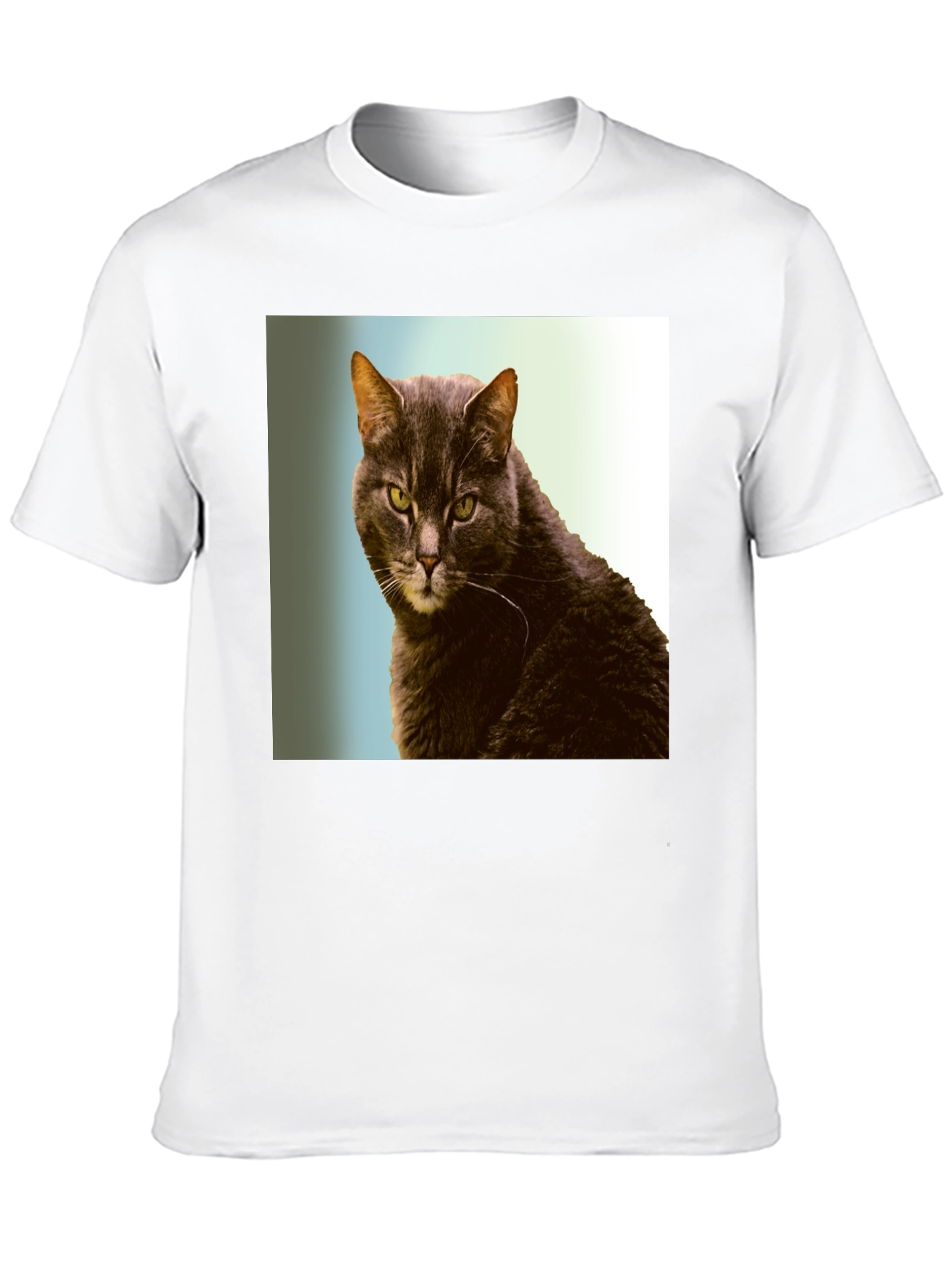 Black Cool Cat Graphic Tee - Black Cotton Shirt view 10