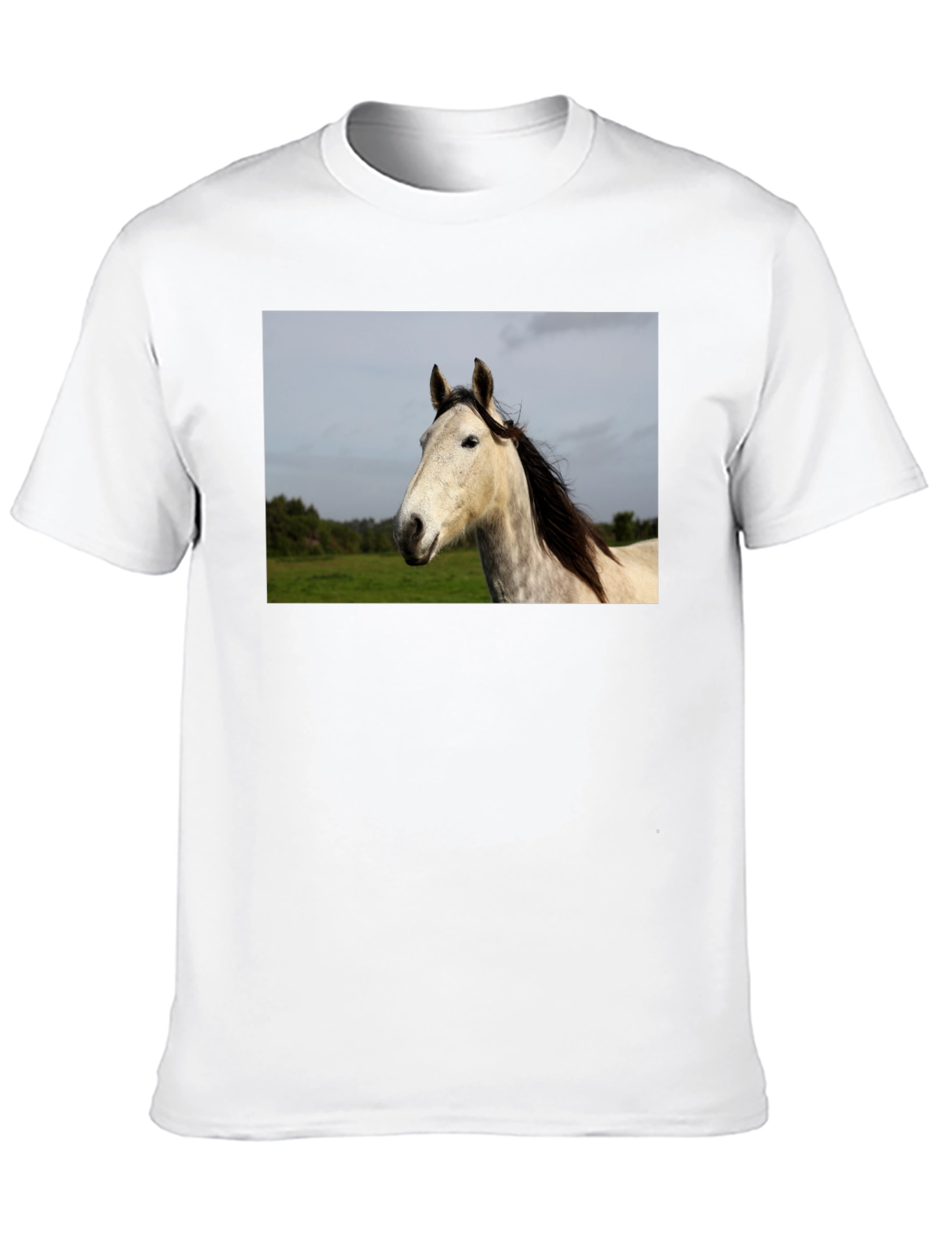 Black Horse Graphic Print Black T-Shirt view 10