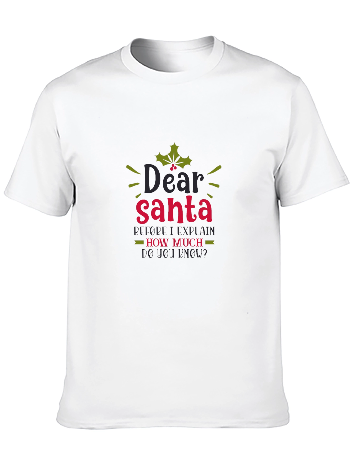 Dear Santa Funny Holiday Tee - 10