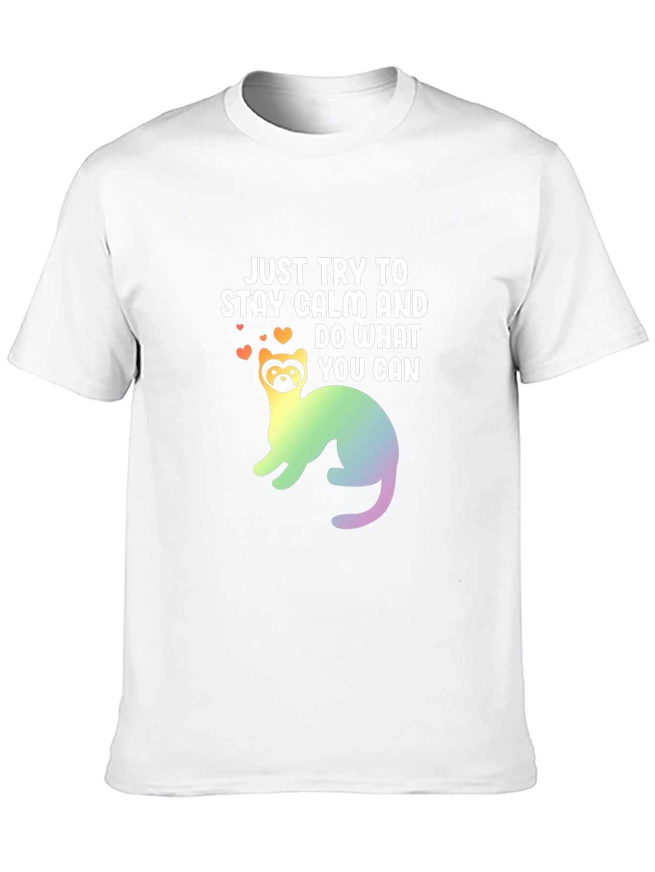 Black Stay Calm Ferret Graphic Tee view 10