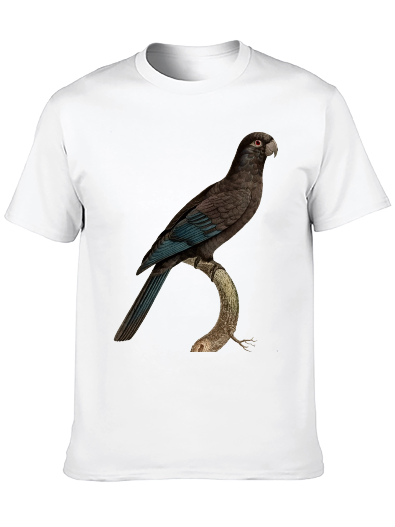 Black Parrot Graphic Print Black T-Shirt view 10