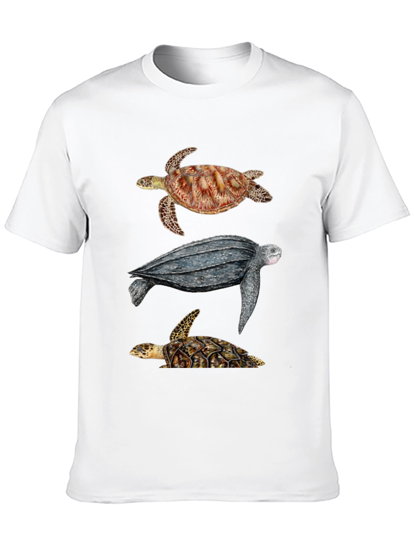 Black Turtle T-Shirt - Sea Life Graphic Tee view 10