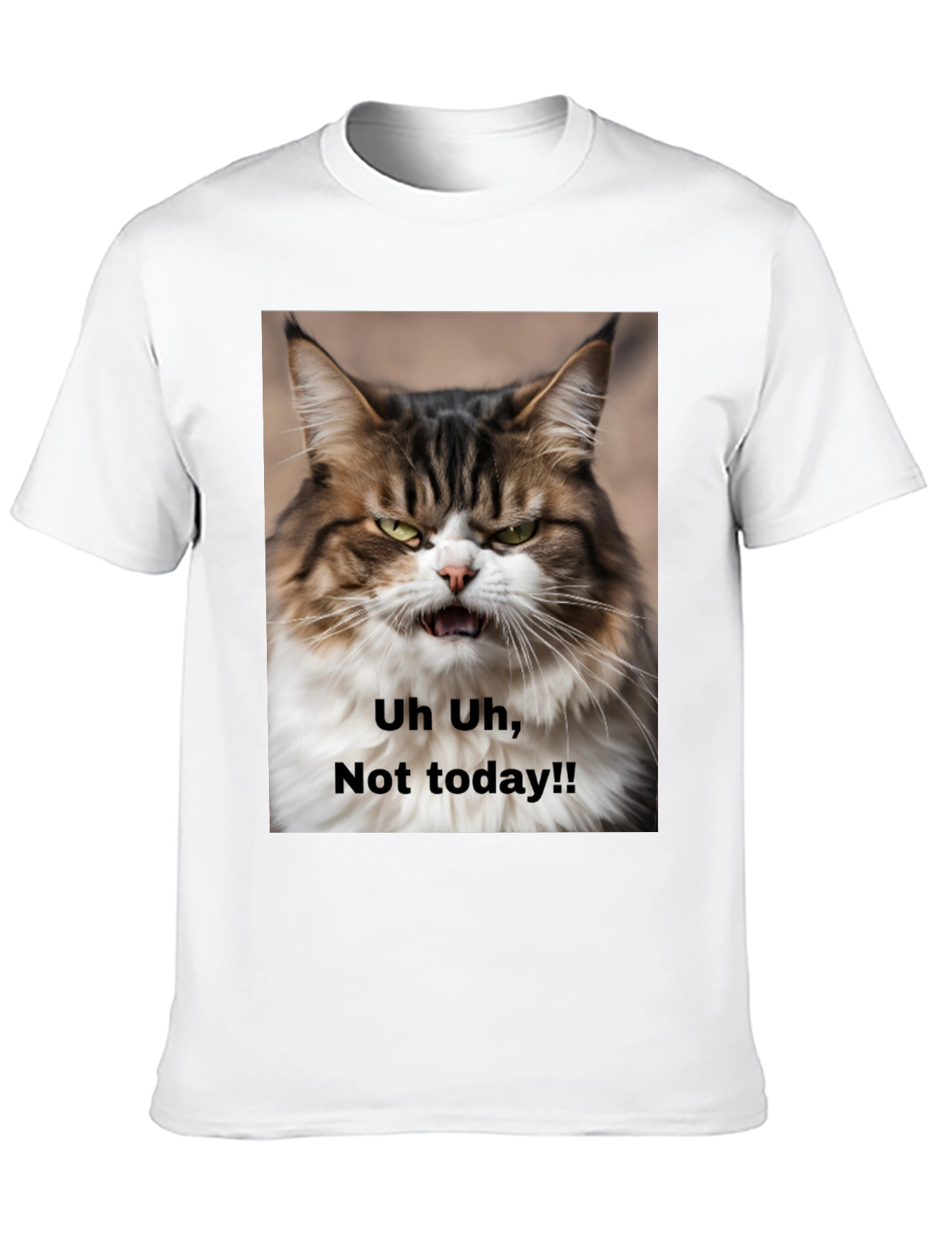 Black Grumpy Cat T-Shirt - "Not Today!" Unisex Black Tee view 10