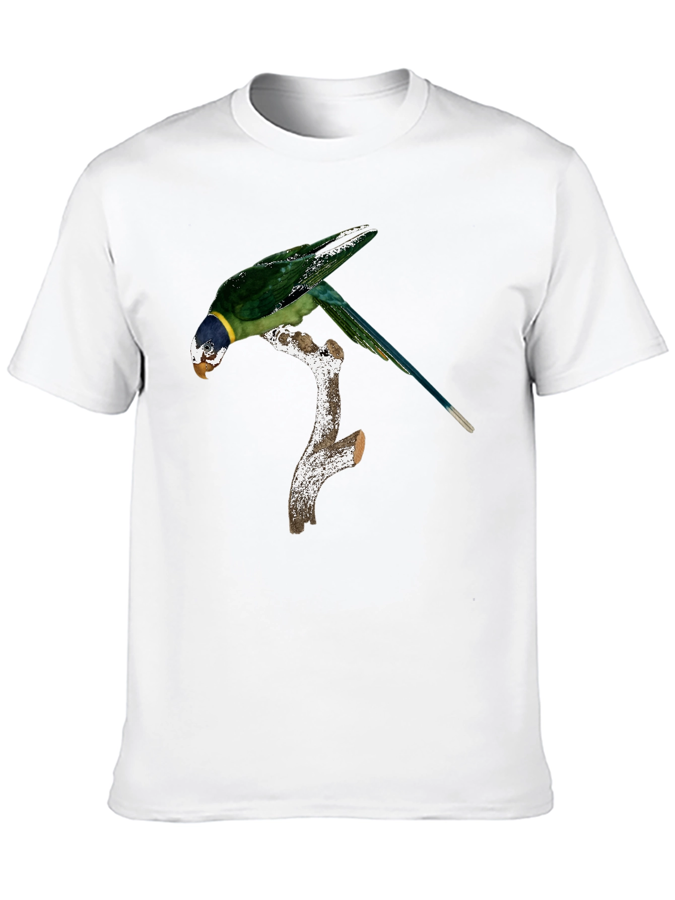 Black Parrot on Branch Graphic Tee - Black Cotton Blend Shirt view 10