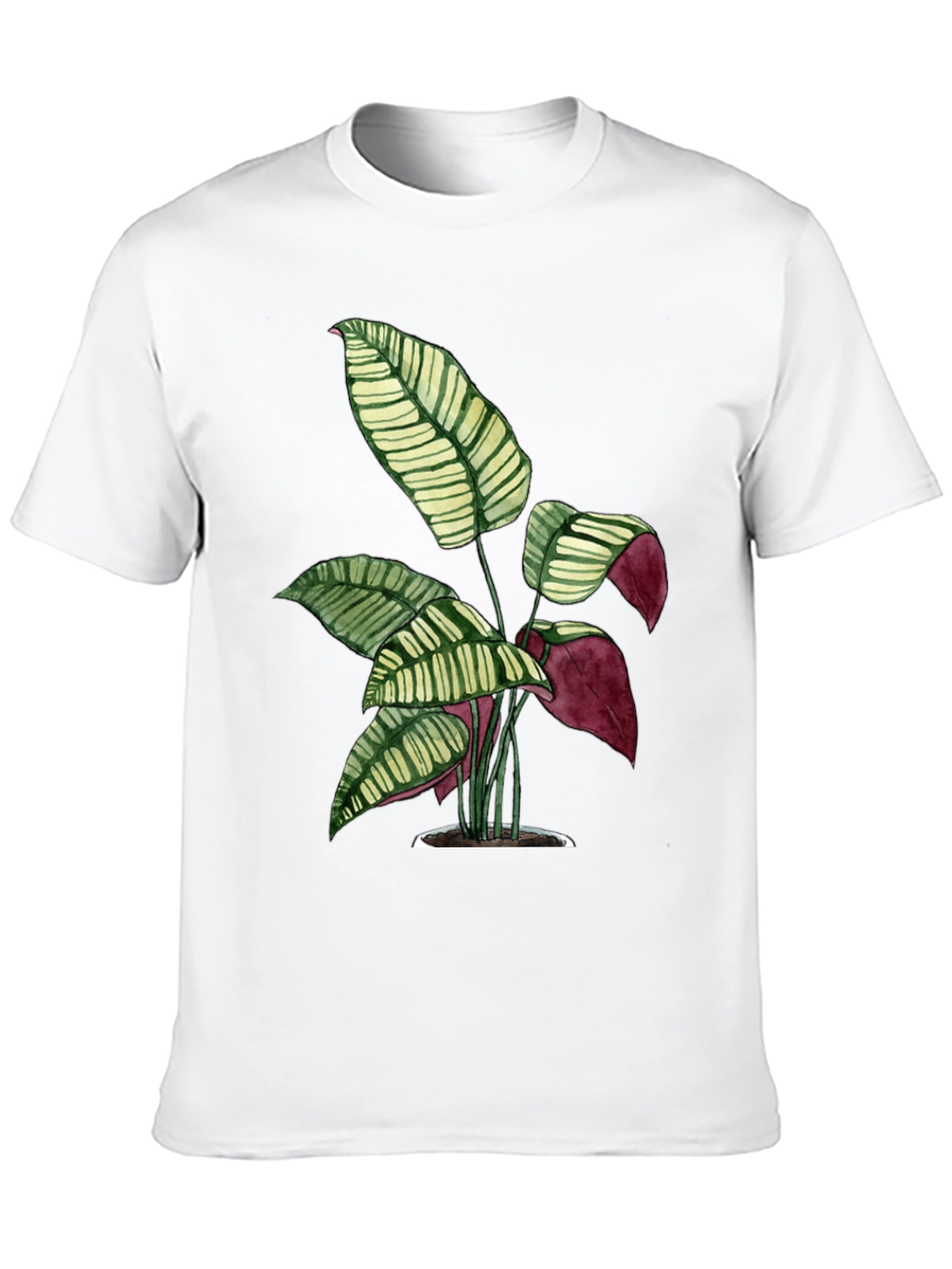 Black Botanical Print Tee - Black Cotton T-Shirt view 10