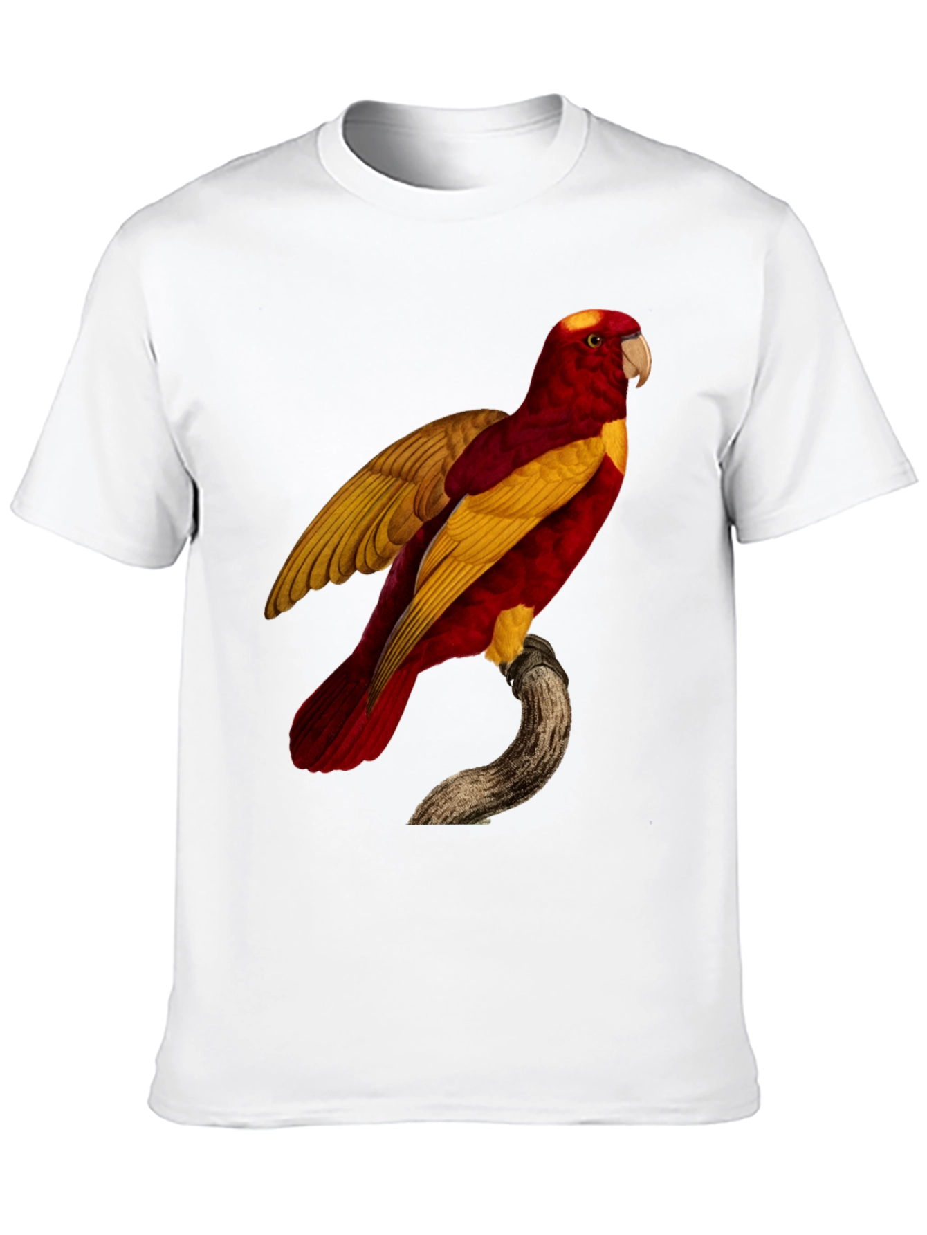 Black Exotic Parrot Graphic Tee view 10