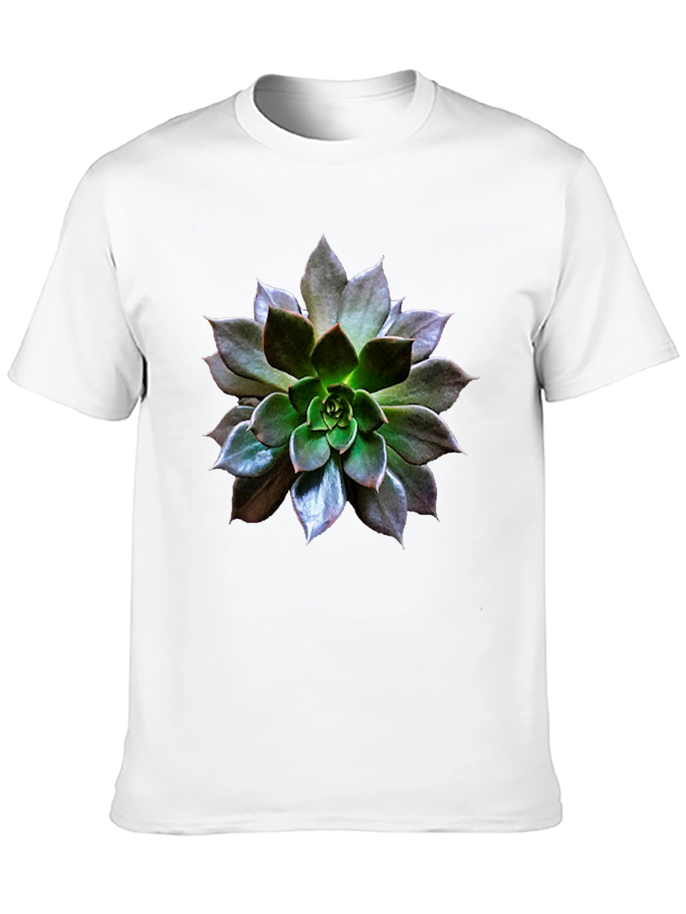 Black Succulent Graphic Tee - Nature Inspired Style view 10
