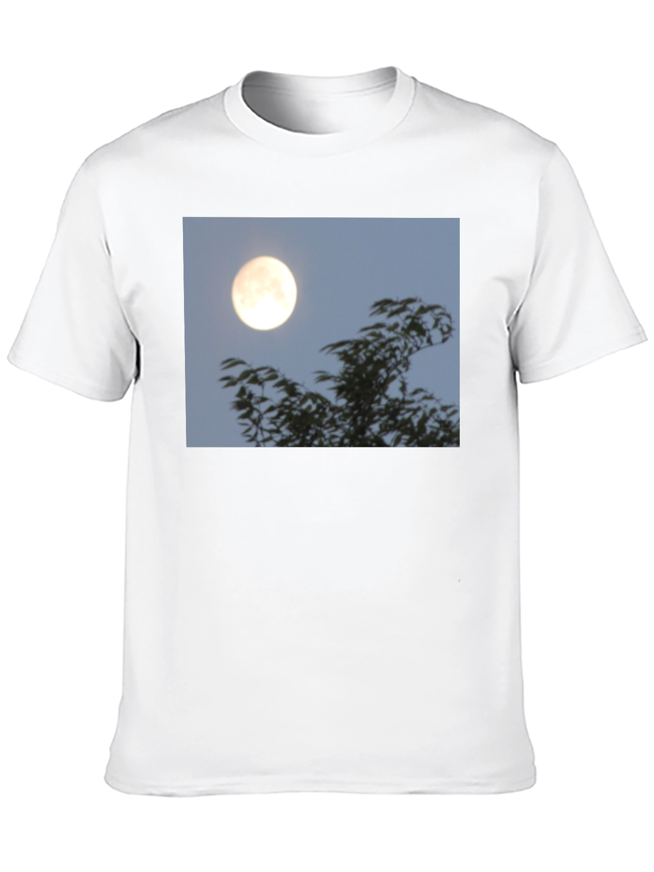 Black Moonlit Trees Graphic Tee - Black Cotton T-Shirt view 10
