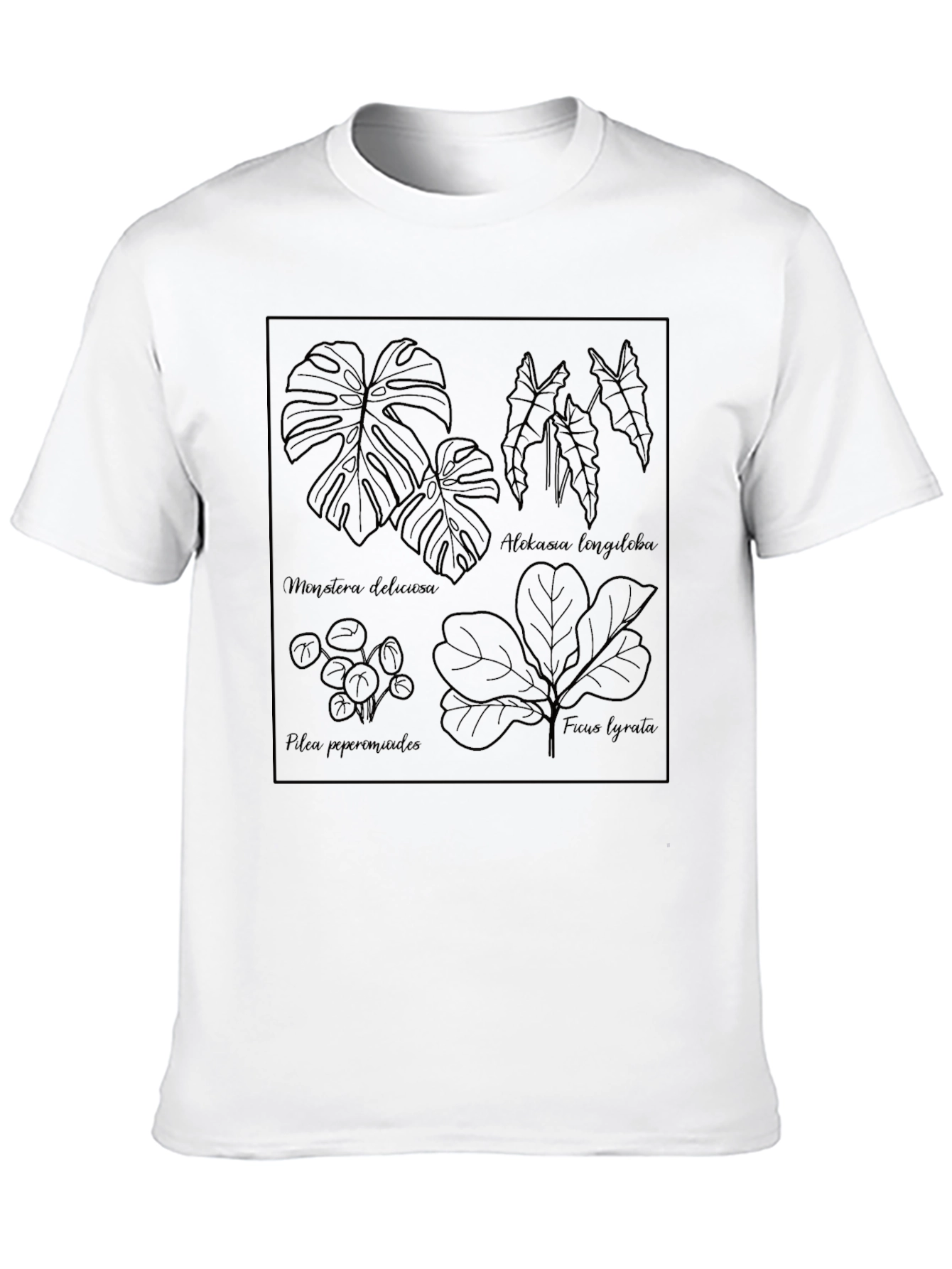 Black Botanical Line Art Tee - Stylish Plant Lover Shirt view 10