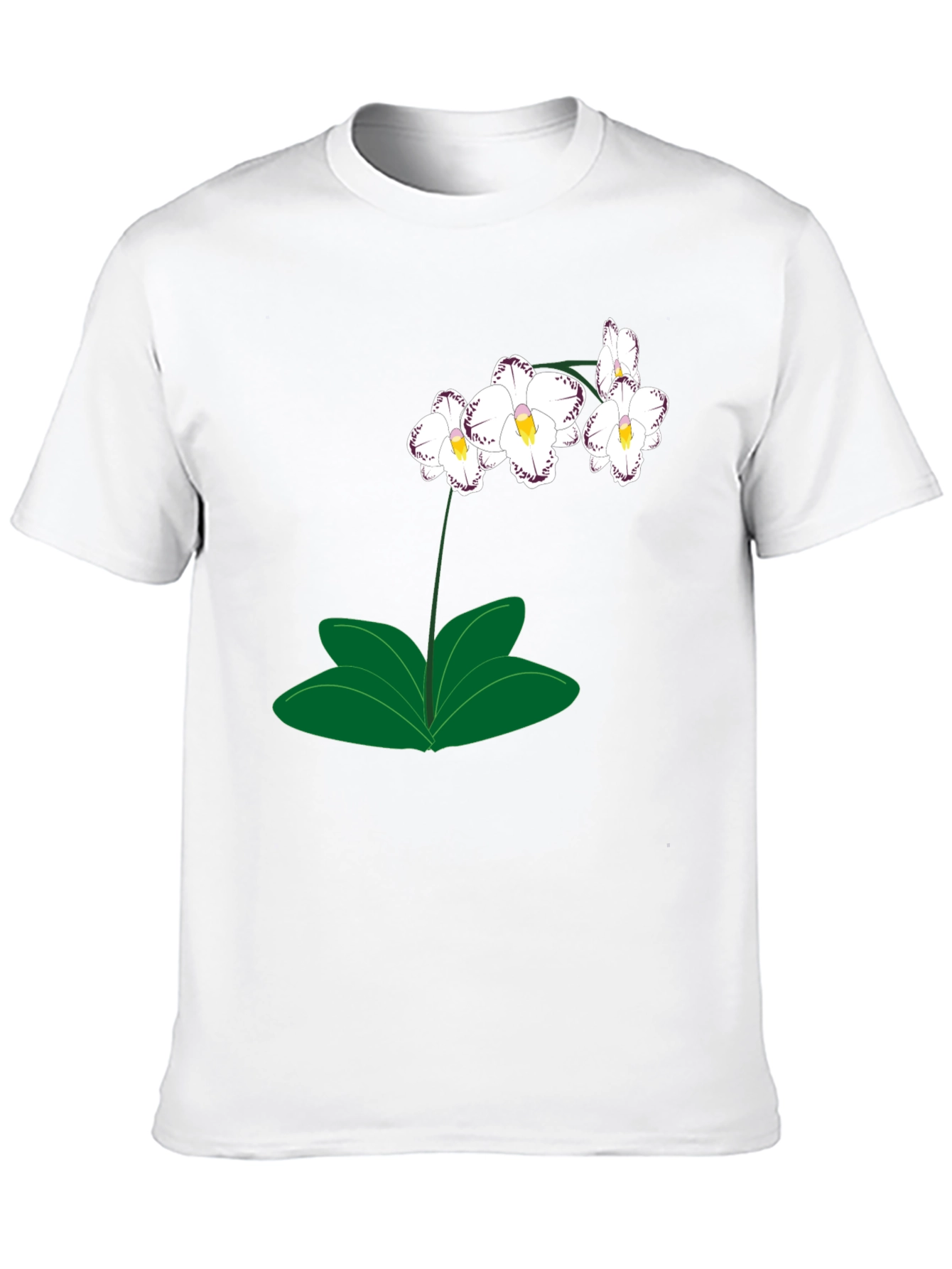 Black Orchid Graphic T-Shirt - Black, Casual Wear view 10