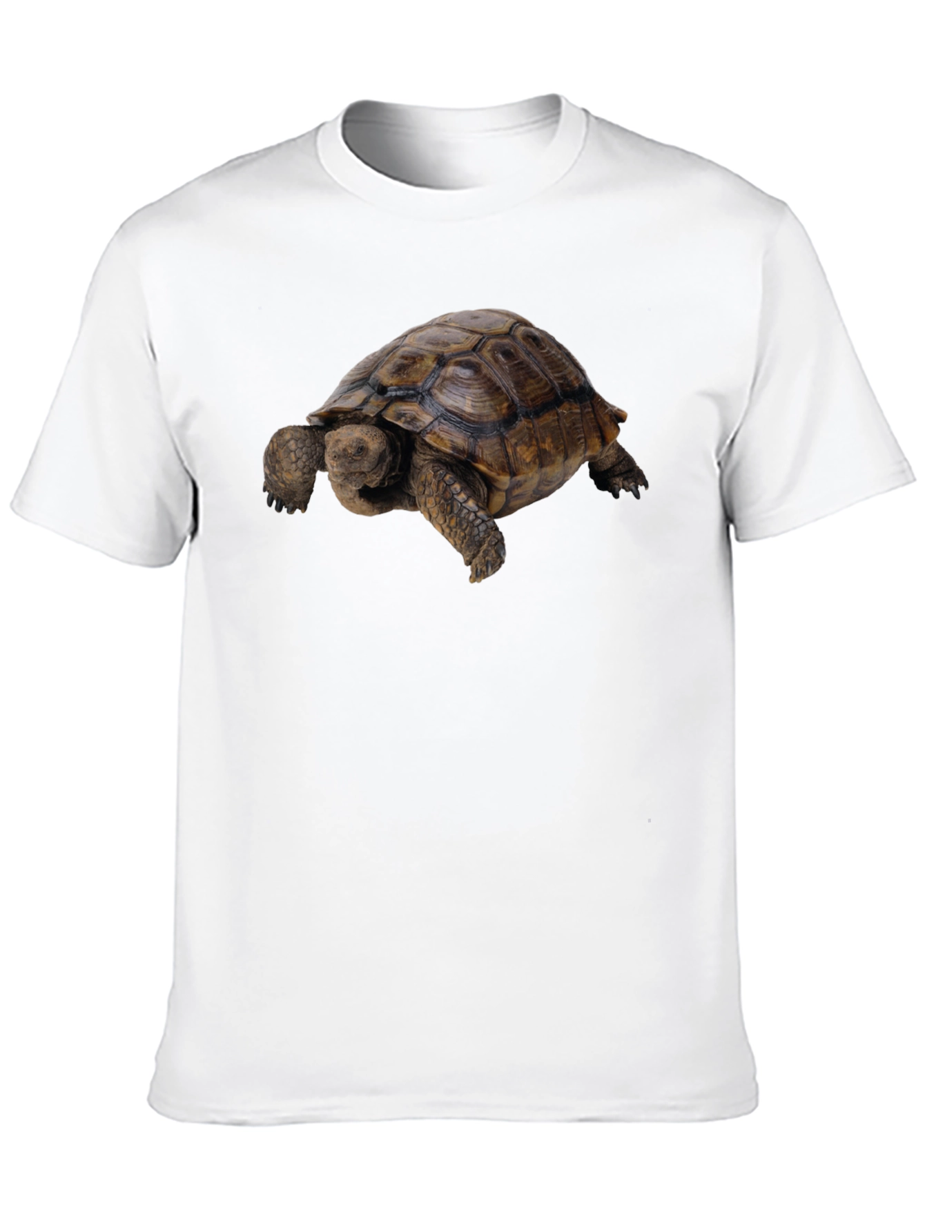 Black Tortoise Graphic Tee - Classic Crew Neck view 10