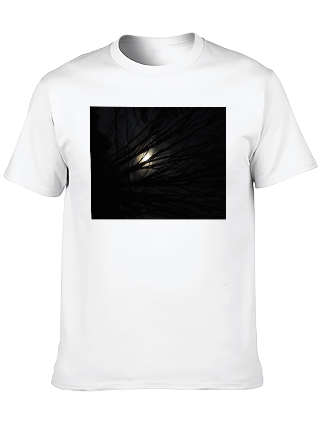 Black Moonlit Branches Graphic Tee - Unisex Black T-Shirt view 10