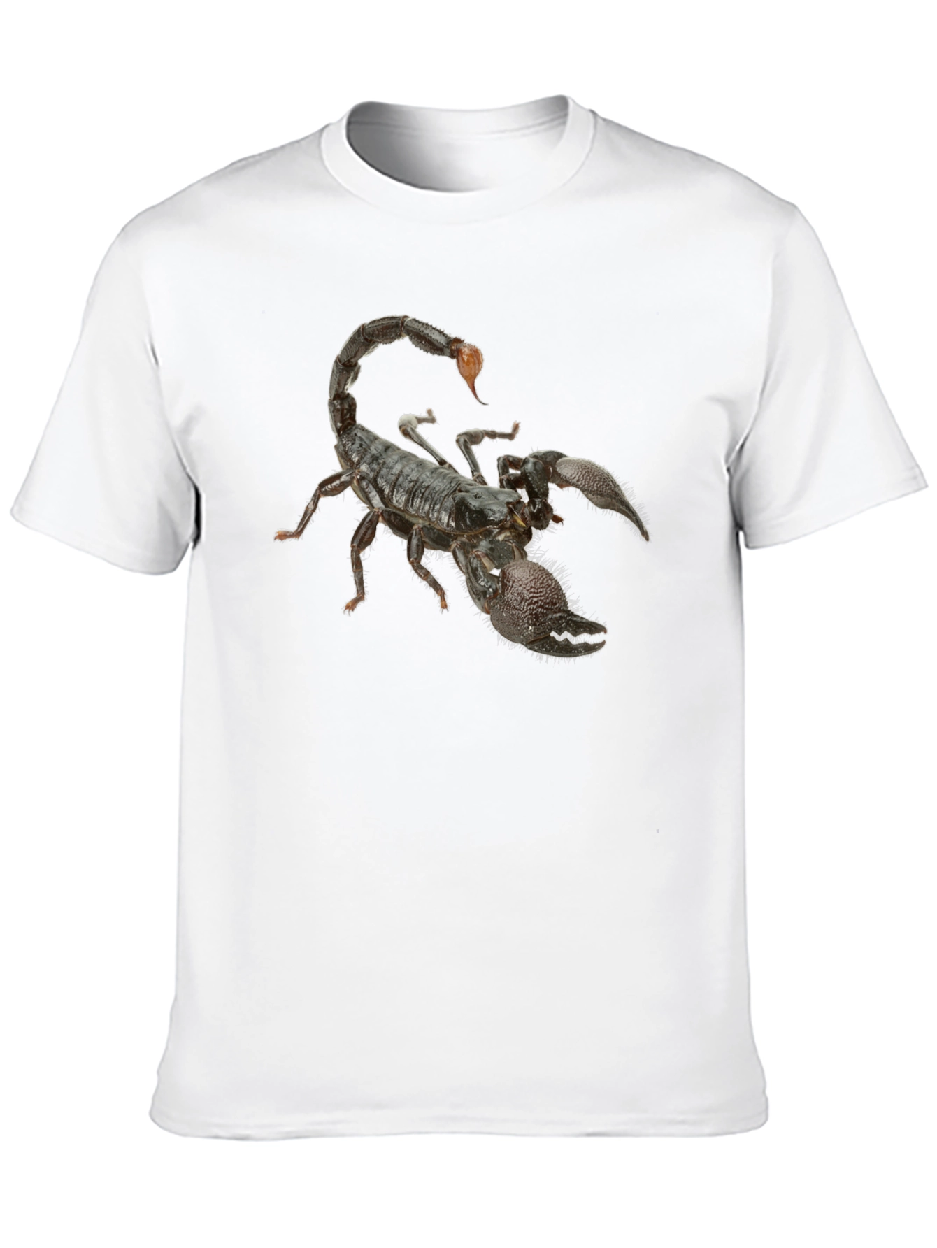 Black Scorpion Graphic Black T-Shirt view 10