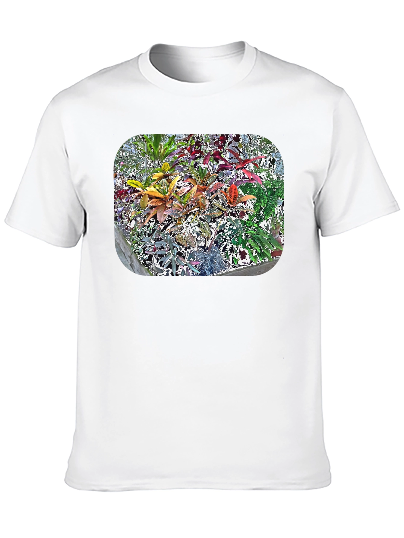 Black Vibrant Croton Plant Graphic Tee view 10