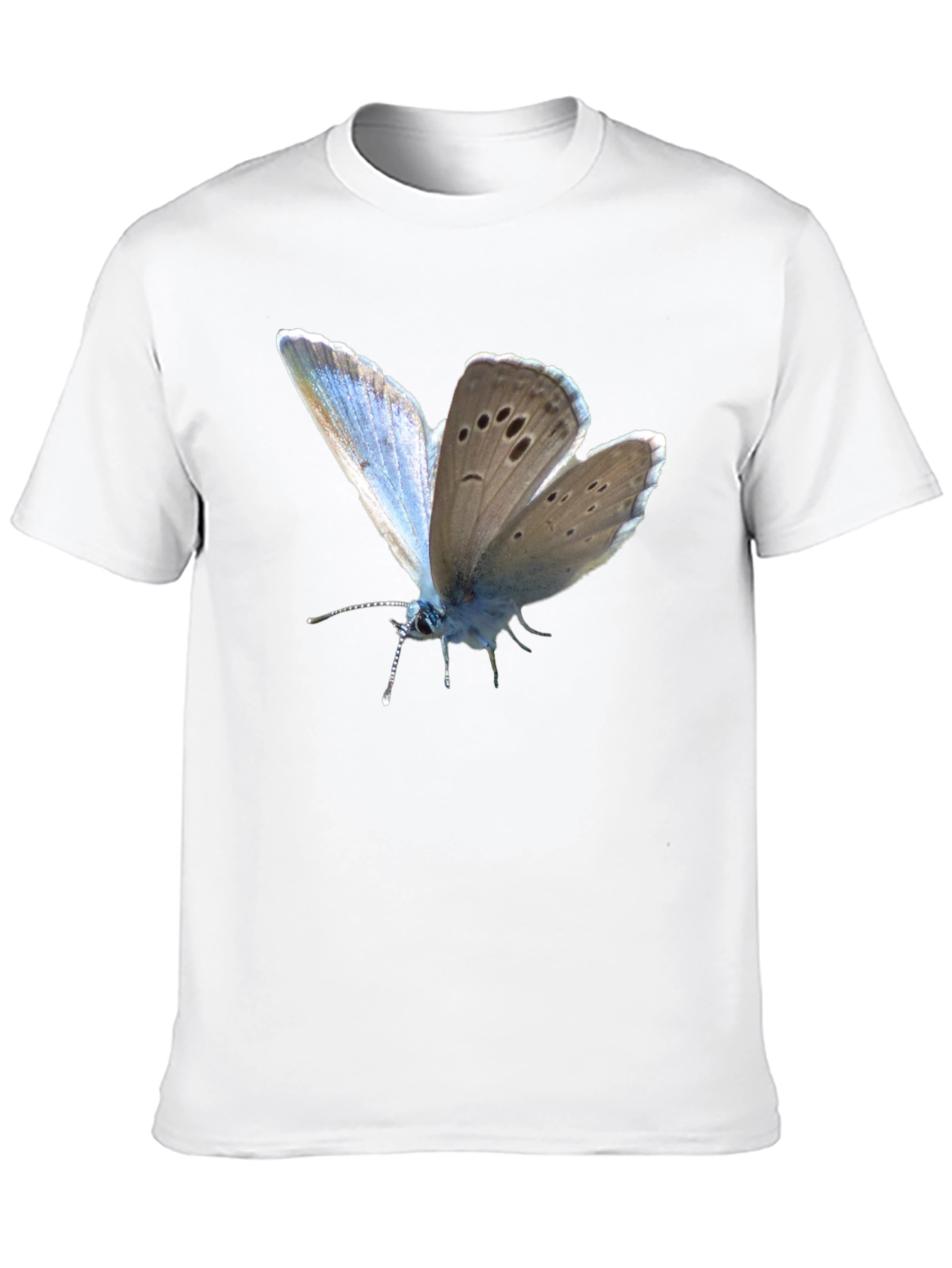 Black Butterfly Print Black T-Shirt view 10