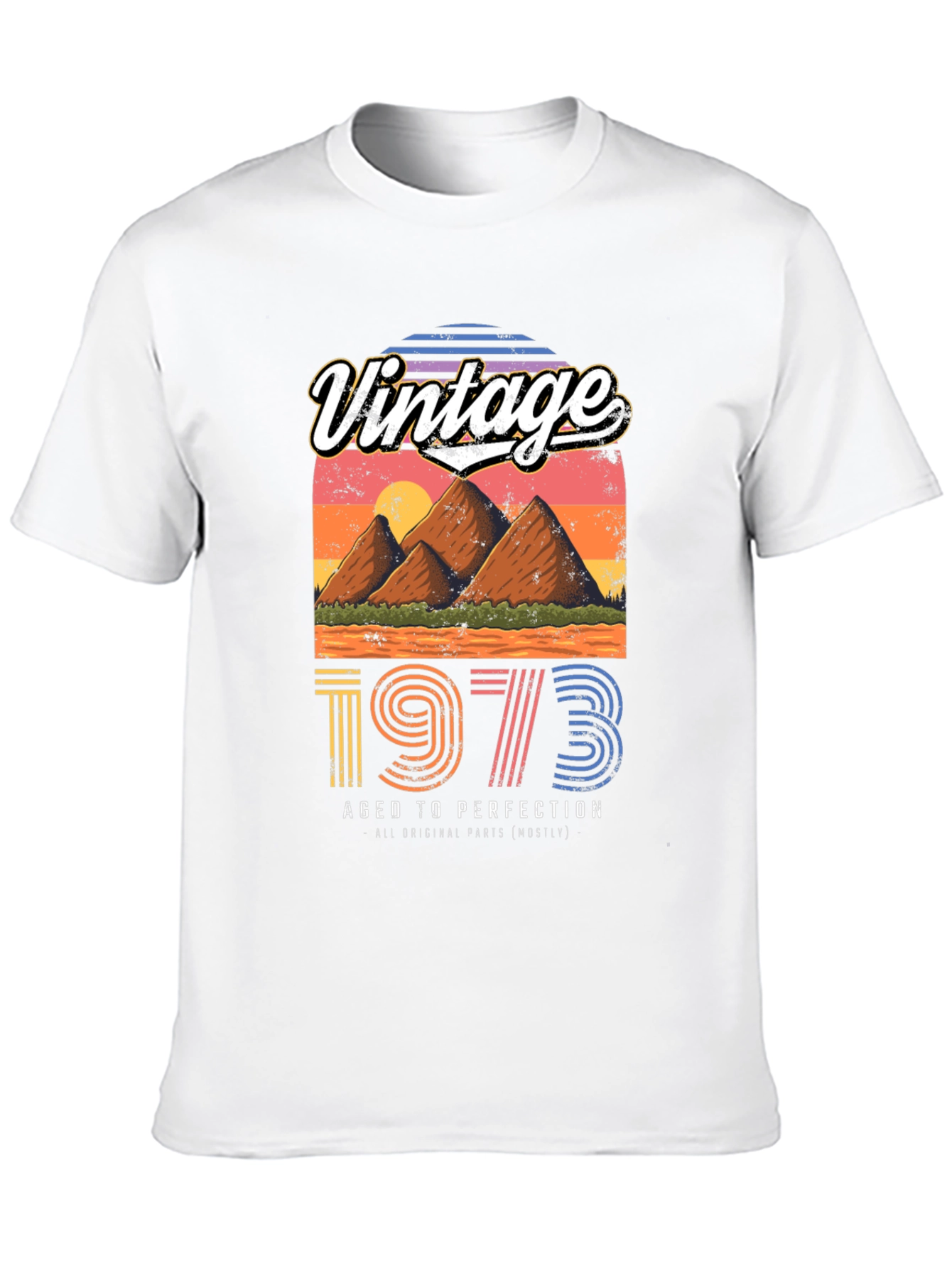 Black Vintage 1973 Aged to Perfection Graphic Tee view 10