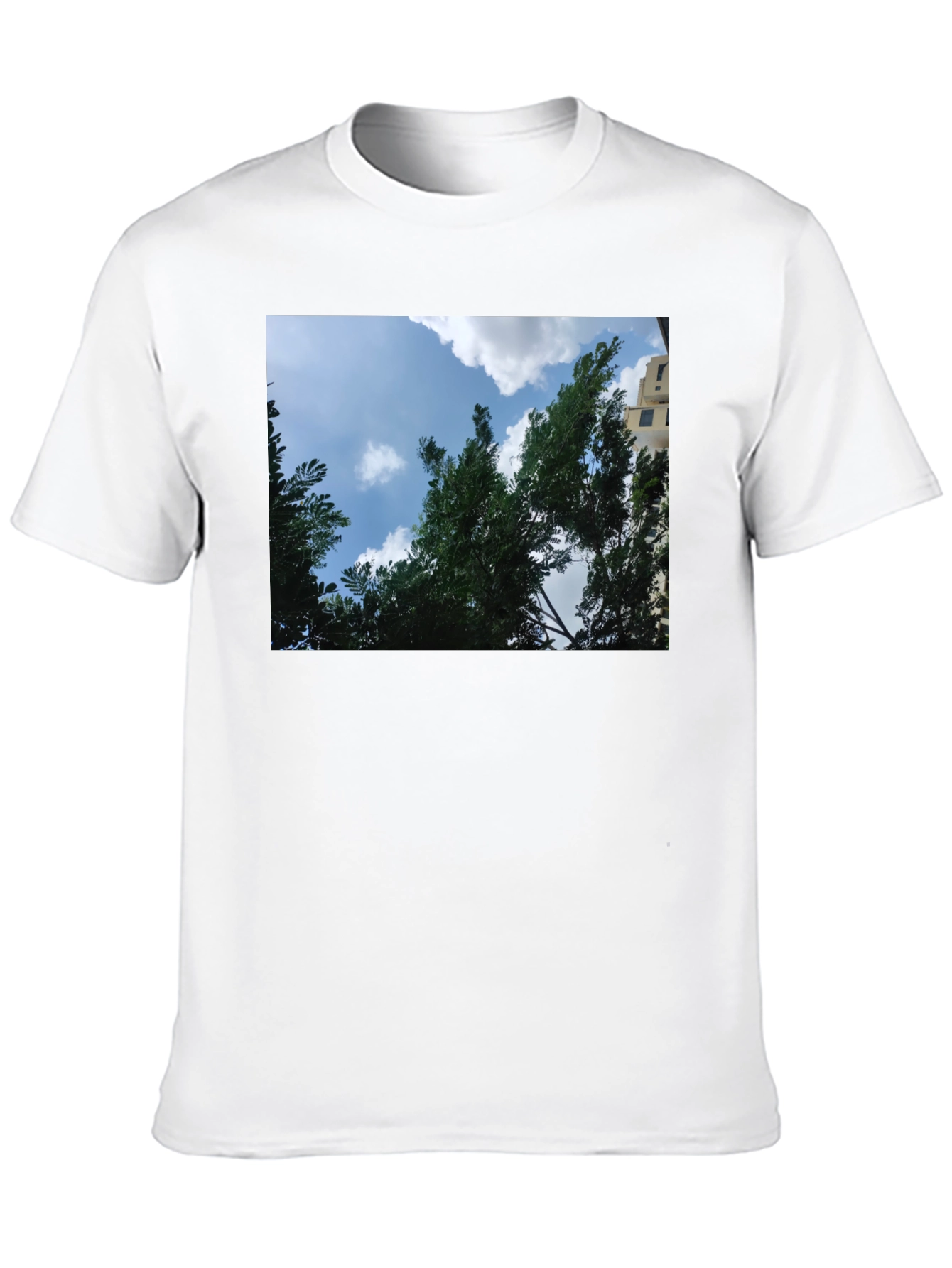 Black Sky Through Trees Graphic Tee - Nature Lover's Shirt view 10
