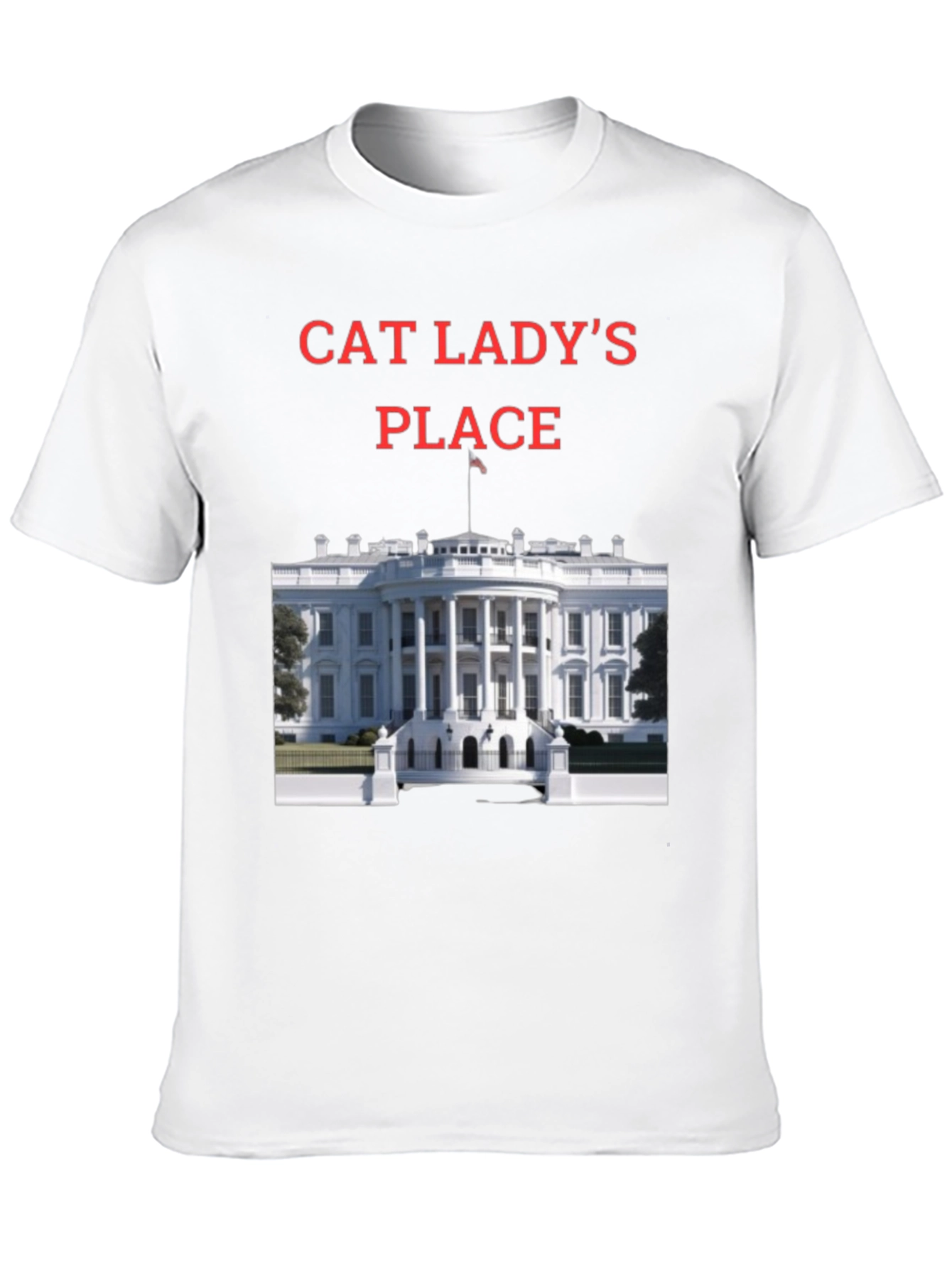Black Cat Lady's Place T-Shirt - Novelty Tee view 10