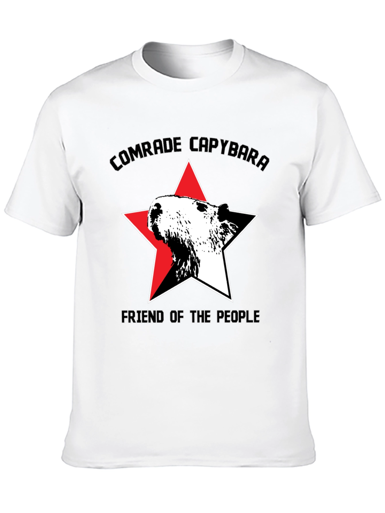 Black Comrade Capybara T-Shirt - Friend of the People view 10