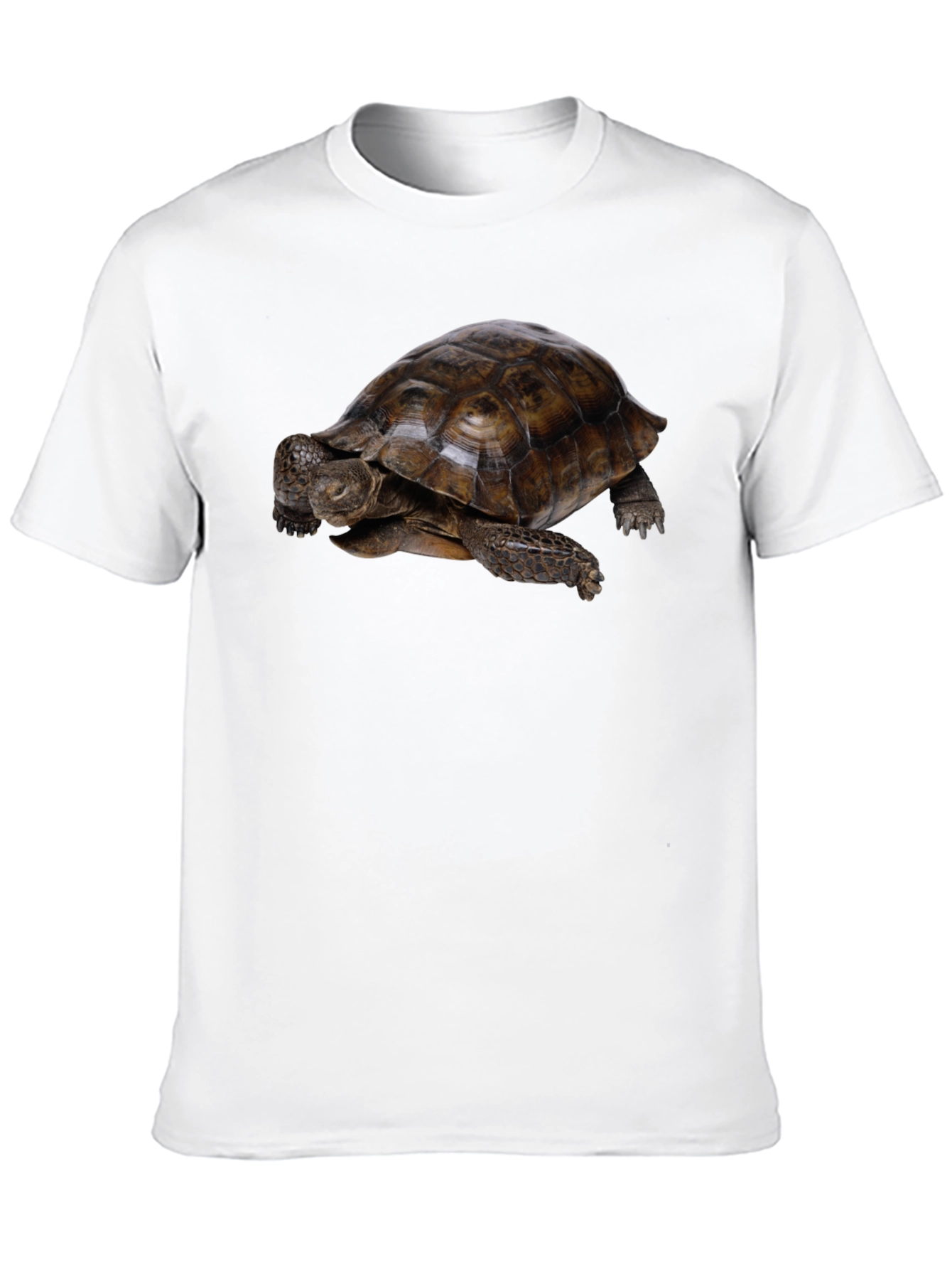 Black Tortoise Graphic Black T-Shirt view 10