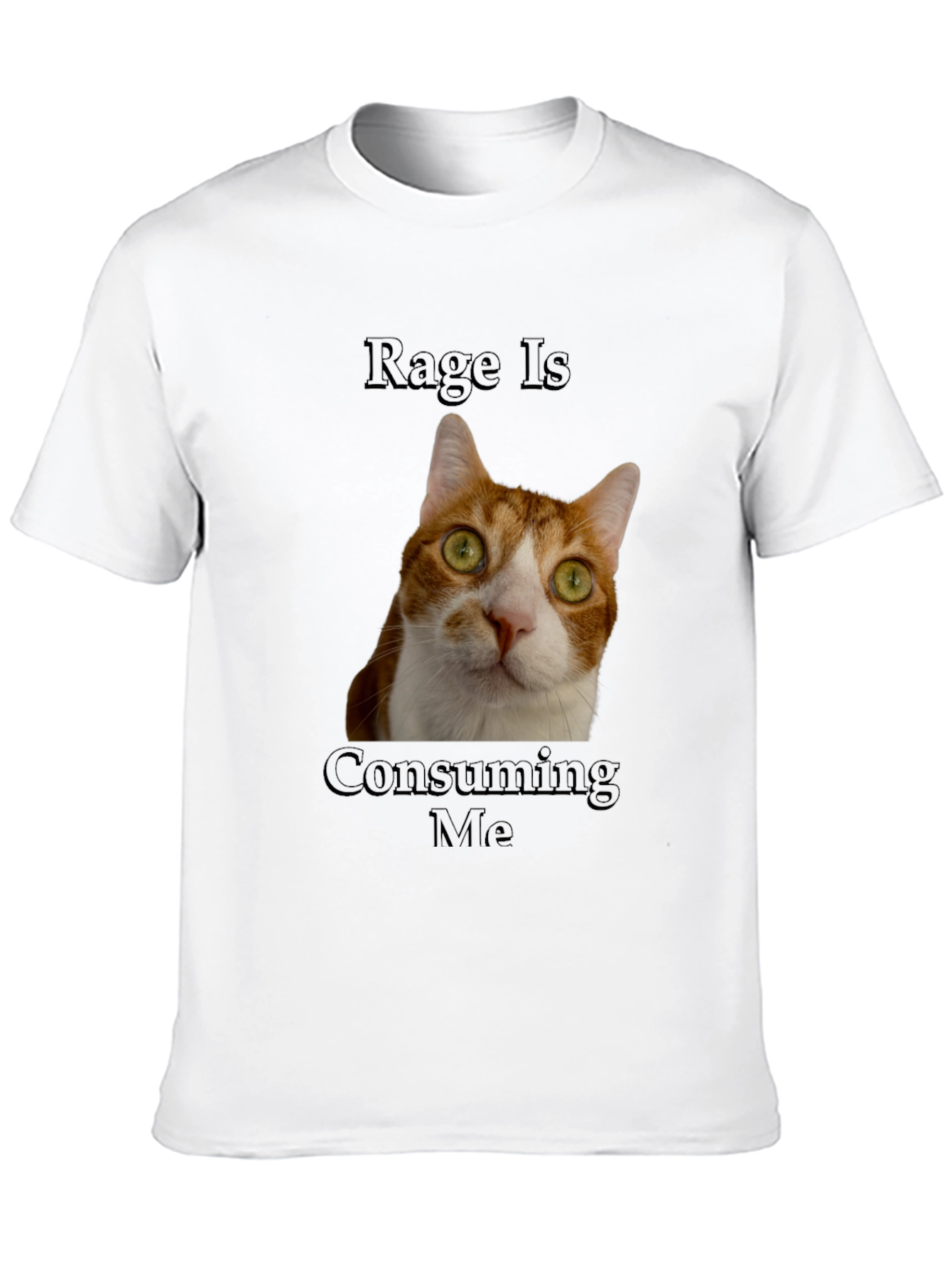 Black Rage Is Consuming Me Cat T-Shirt - Funny Graphic Tee view 10