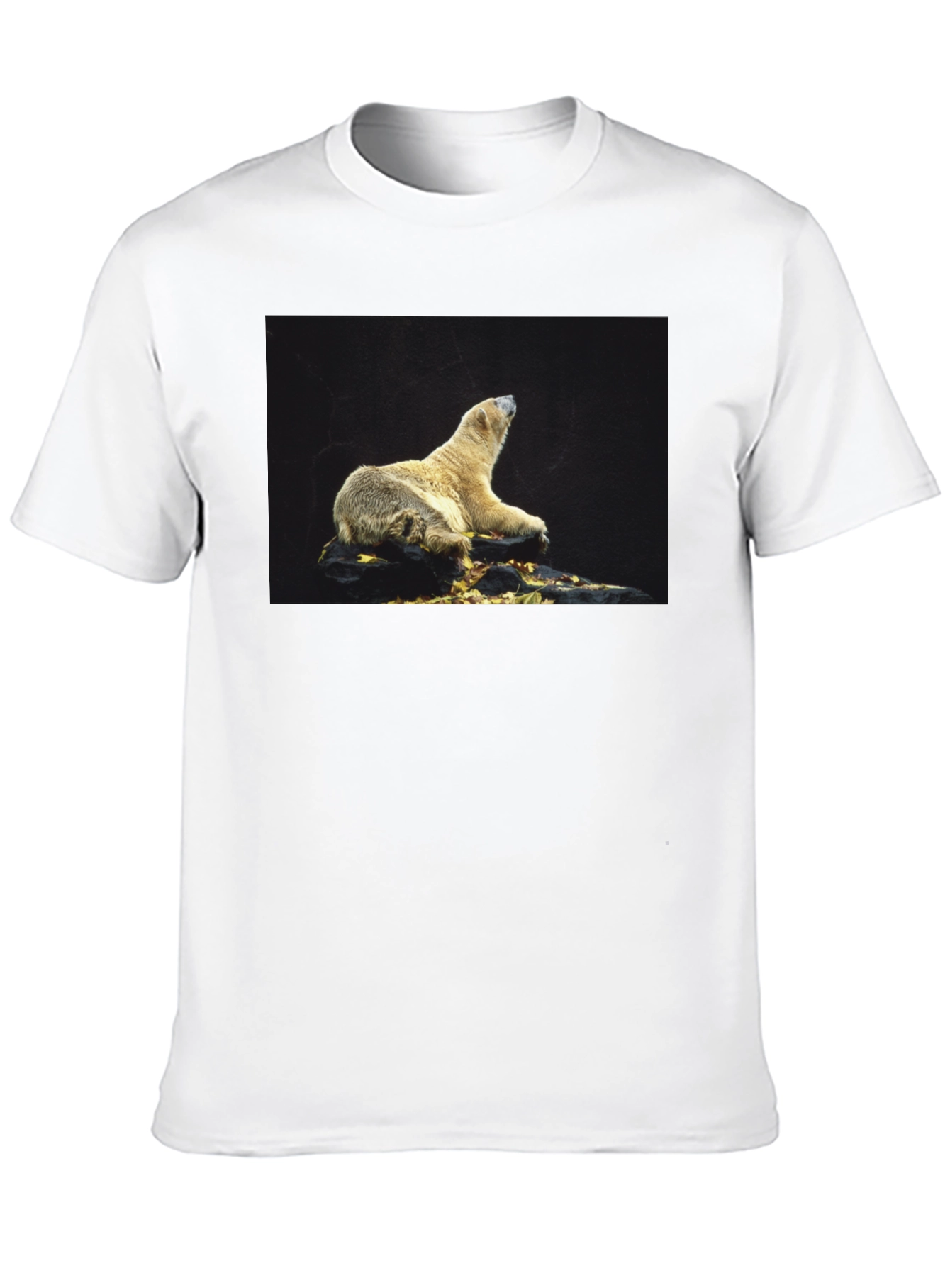 Black Polar Bear Graphic Black T-Shirt view 10