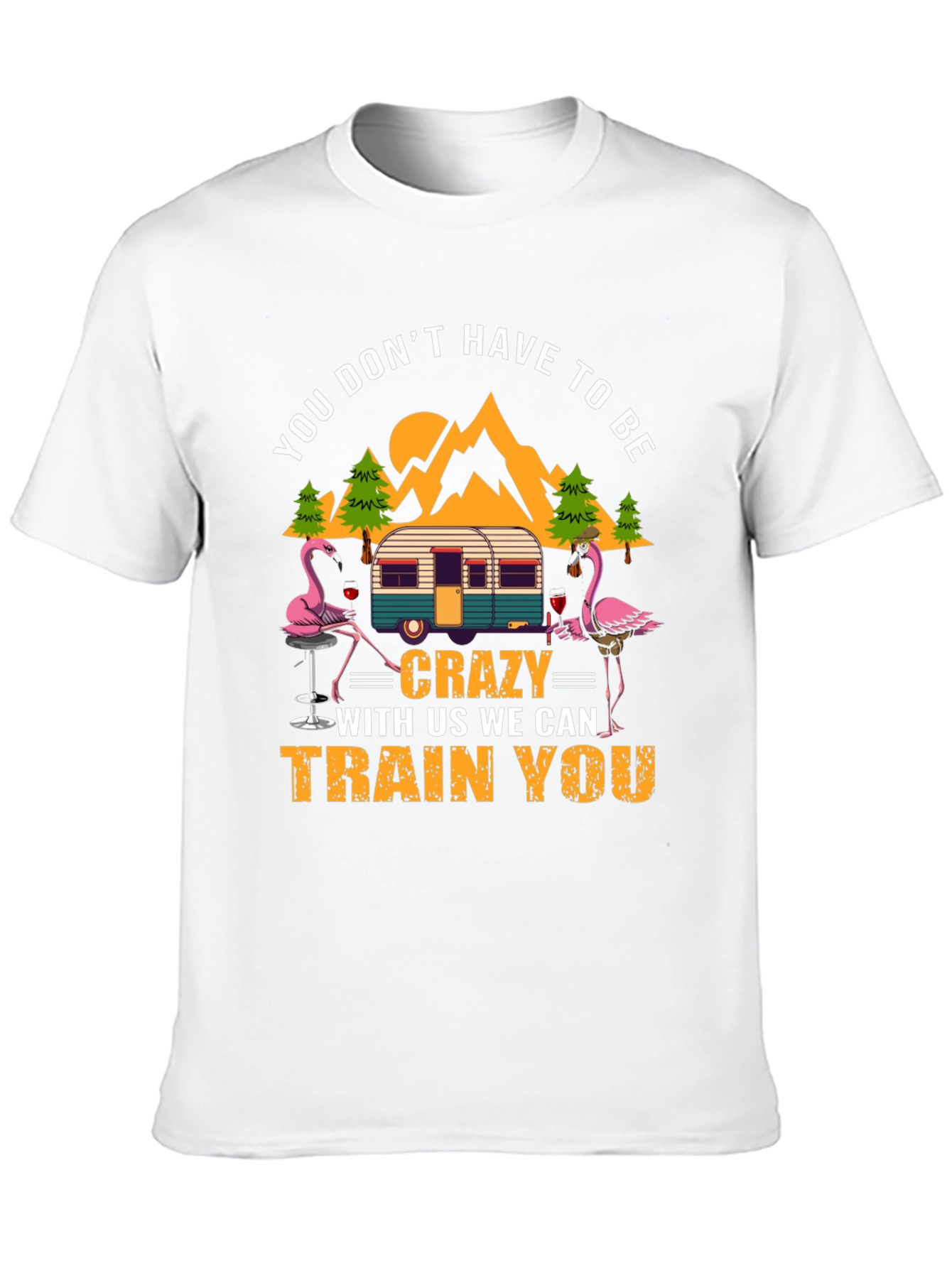 Black Flamingo Camper T-Shirt: You Don't Have to Be Crazy! view 10