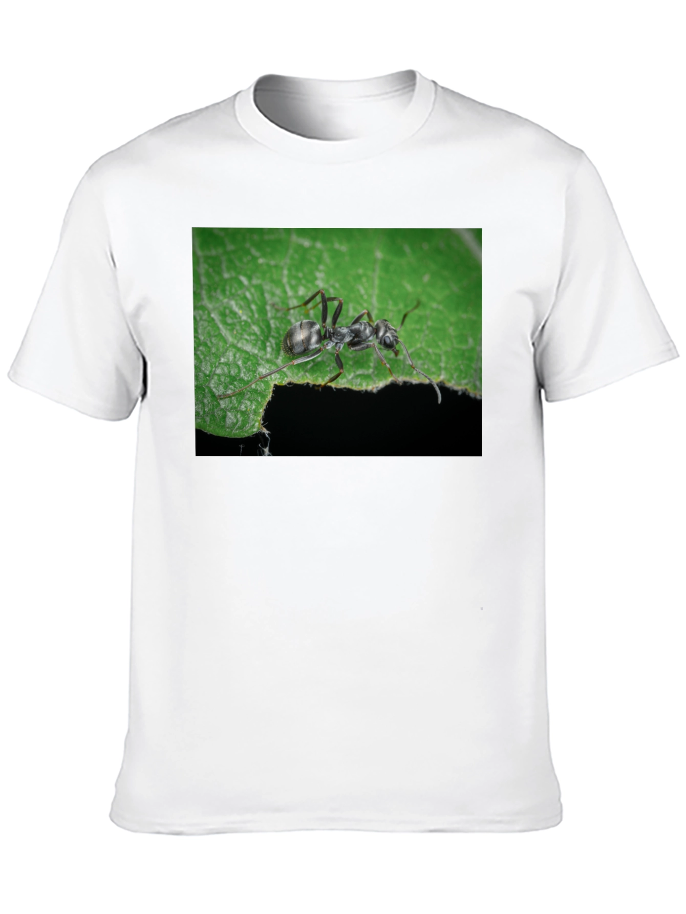 Black Ant on Leaf Graphic Tee - Nature Lover's T-Shirt view 10