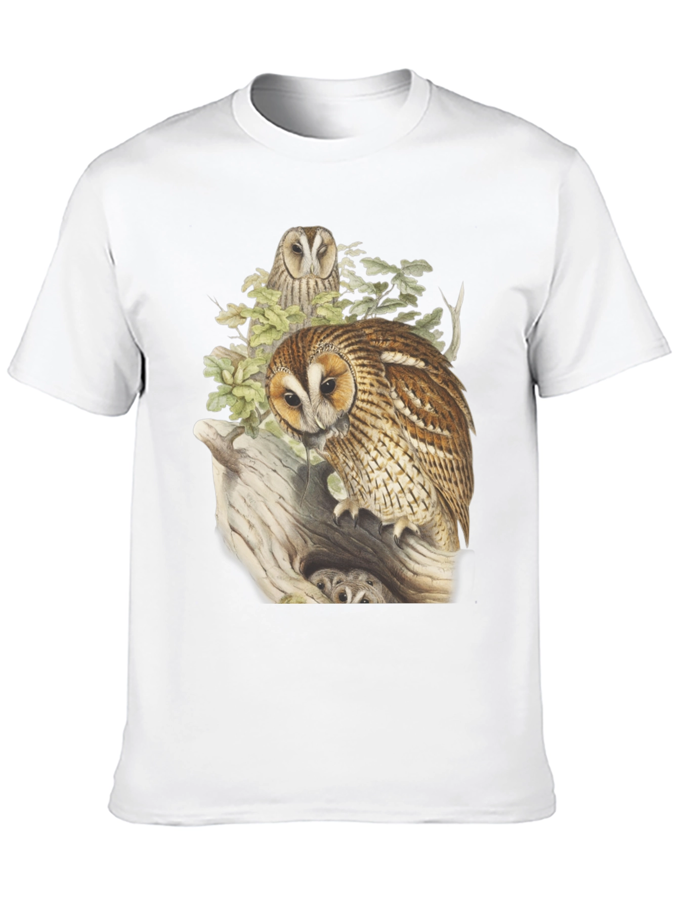 Black Owl Graphic Tee - Nature Inspired Design view 10