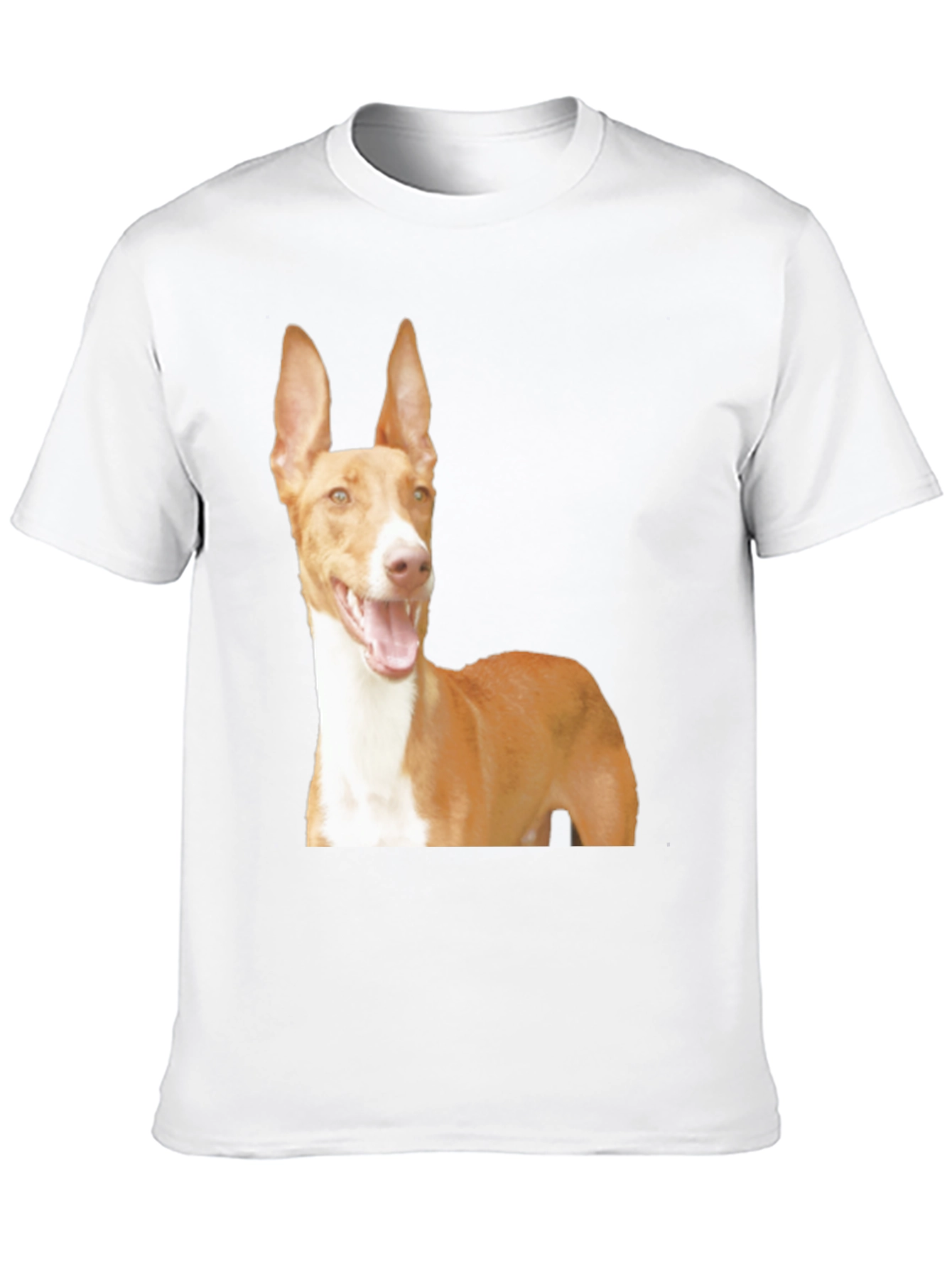 Black Dog Breed Graphic Tee - Ibizan Hound on Black Shirt view 10