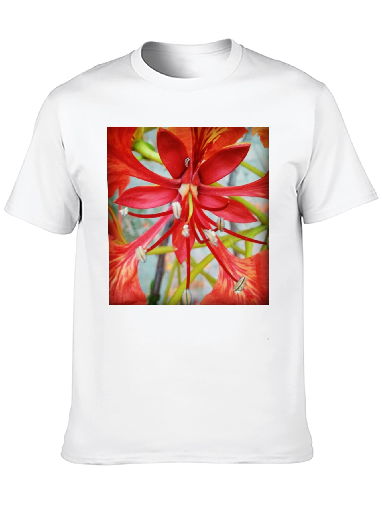 Black Bold Floral T-Shirt - Vivid Red Blossom Design view 10