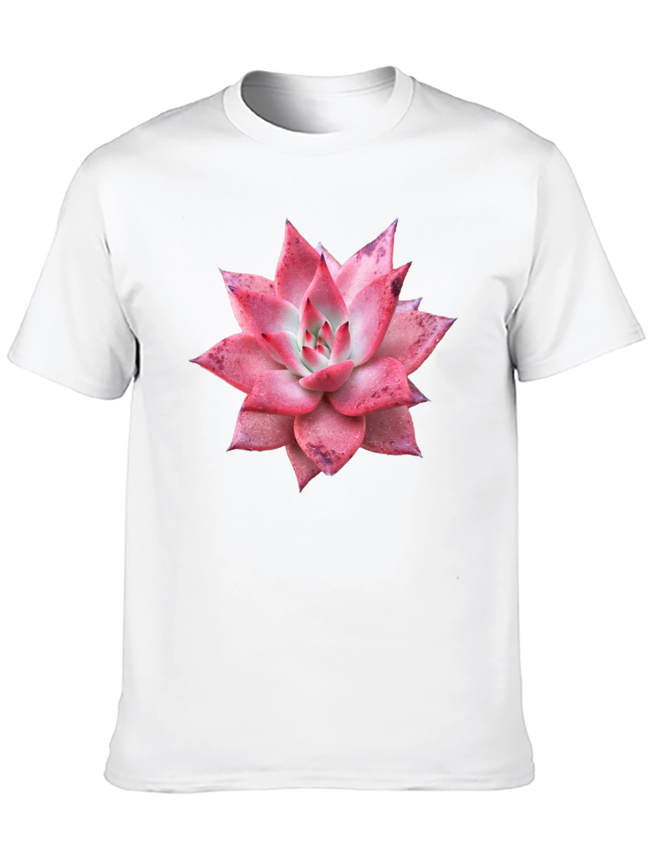 Black Succulent Graphic Tee - Black Cotton T-Shirt view 10