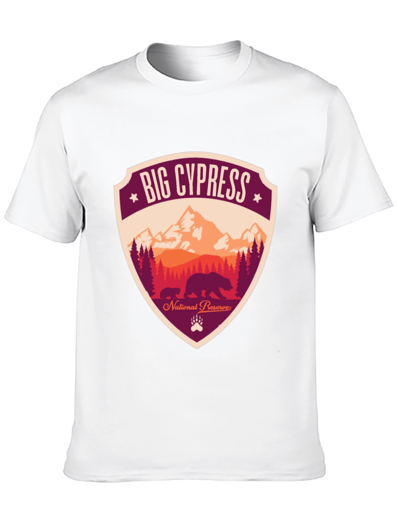 Black Big Cypress National Preserve Graphic T-Shirt view 10