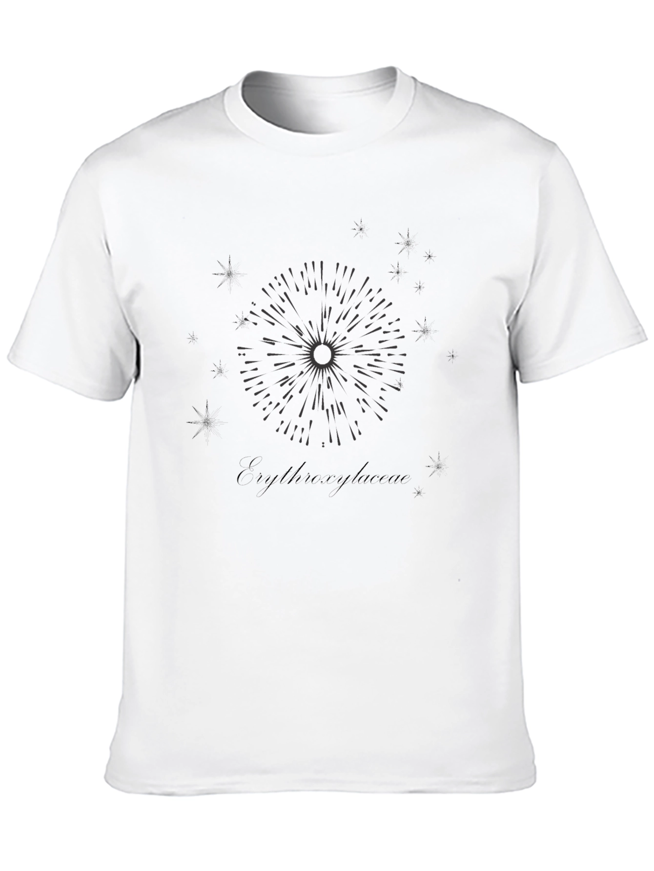 Black Erythroxylaceae Graphic Tee view 10