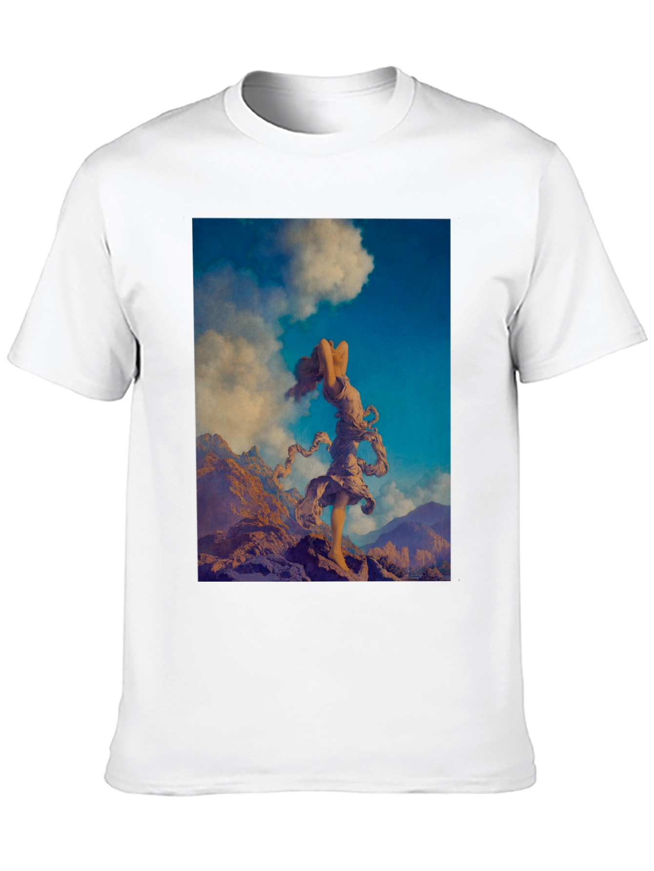 Black Mountain Muse Graphic Tee view 10