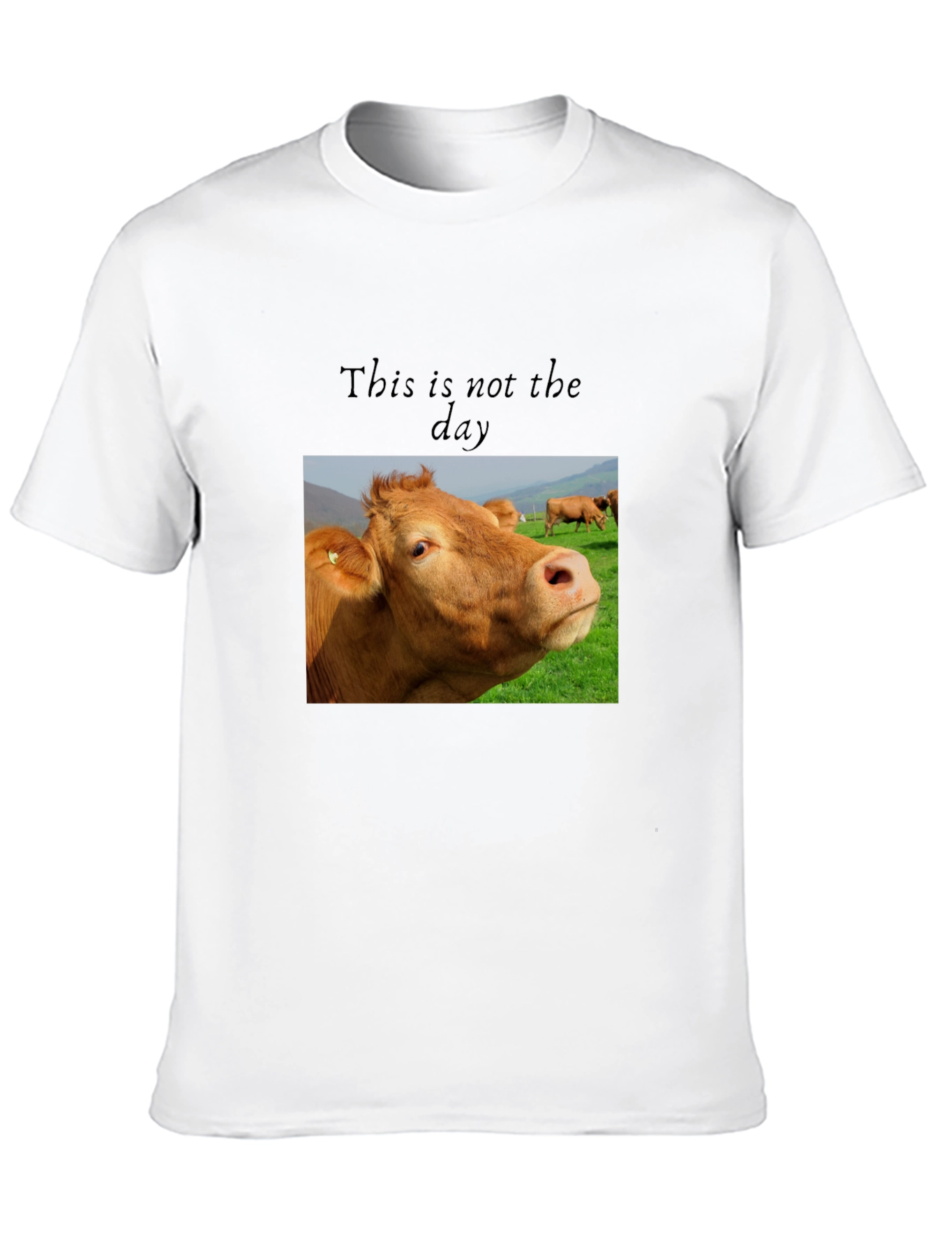 Black Cow Graphic T-Shirt - "This is not the day" view 10