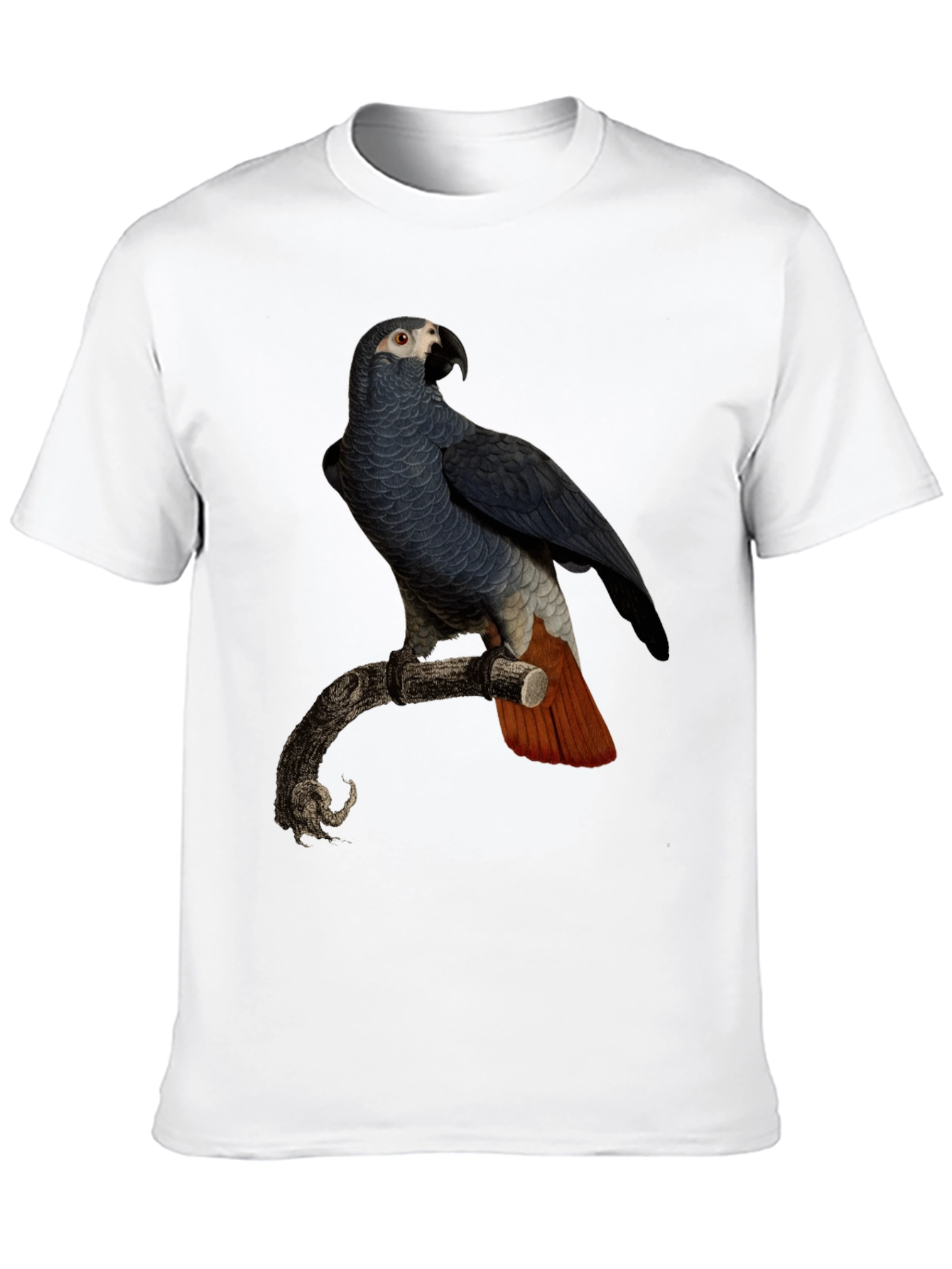 Black Parrot Graphic T-Shirt - Men's Black Tee view 10