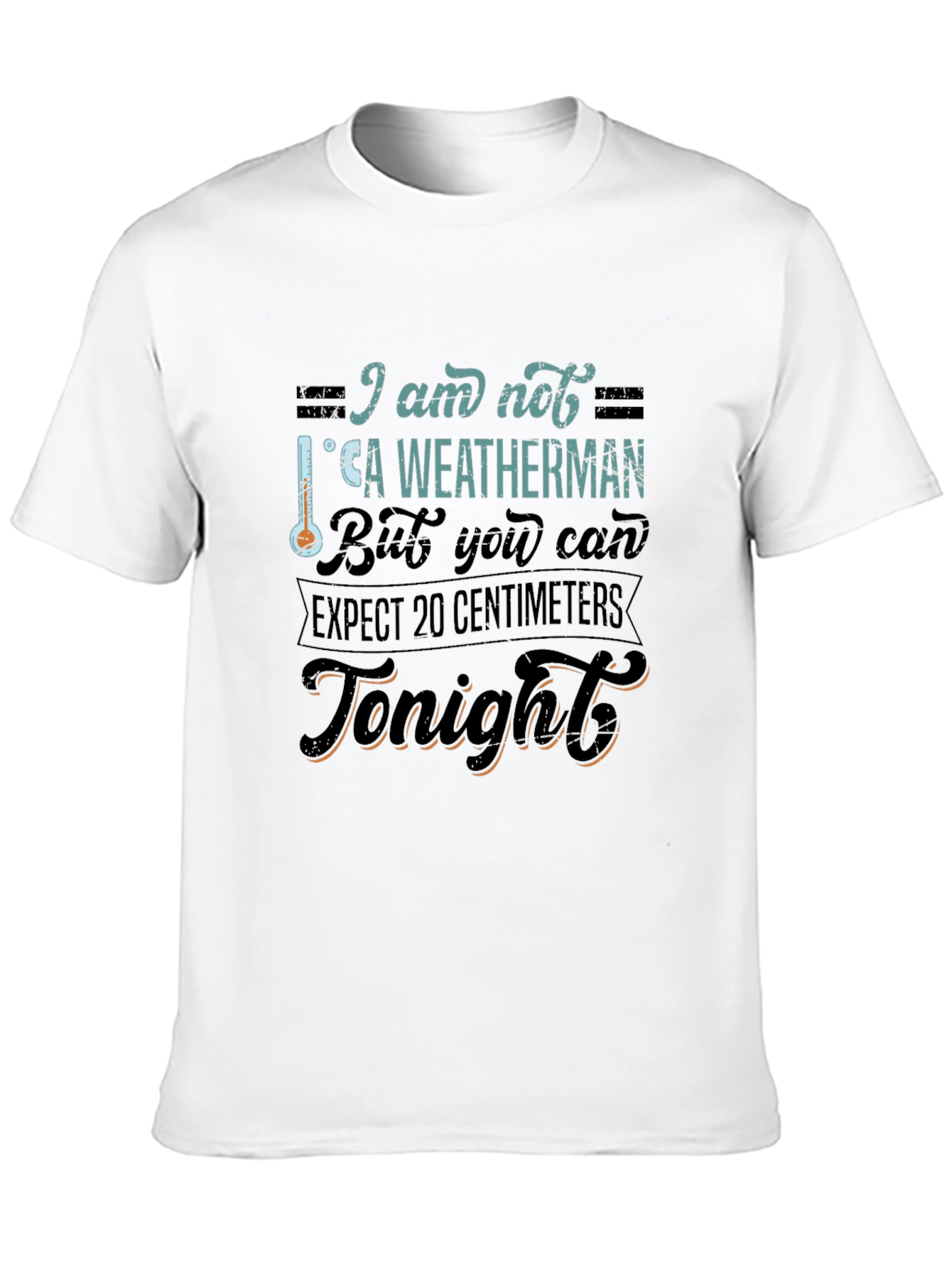 Black Funny Weatherman Graphic Tee - Expect 20 Centimeters view 10